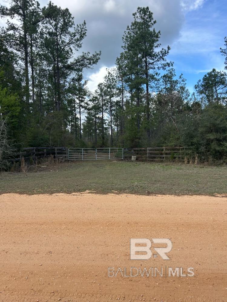0 Murder Creek Road, Brewton, AL, 36426