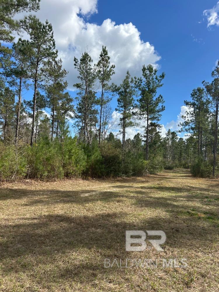 0 Murder Creek Road, Brewton, AL, 36426