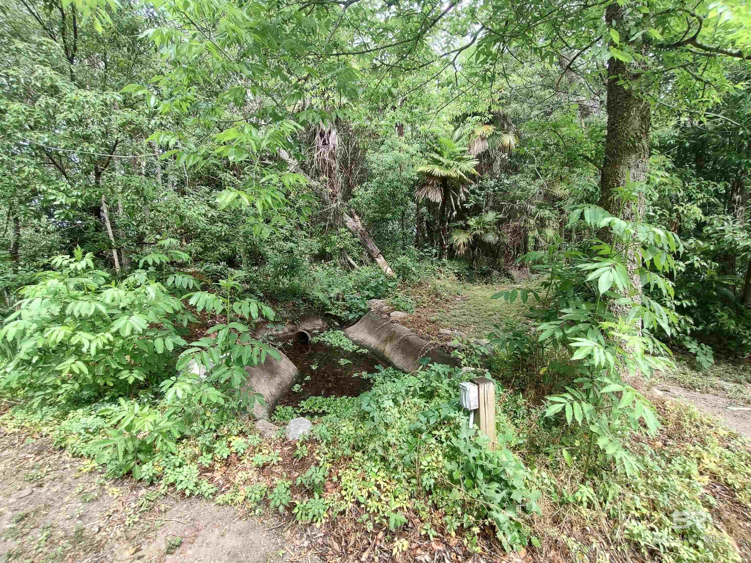 https://zimg.paragon.ice.com/ParagonImages/Property/PG/BCAR/393189/91/0/0/ec1bd9454d8e7299041b5552724d710f/7/9887a0f30443adb8f10f0ae64379038e/393189-469fc67d-06a8-4ef0-a08d-db4e6731fcc7.JPG