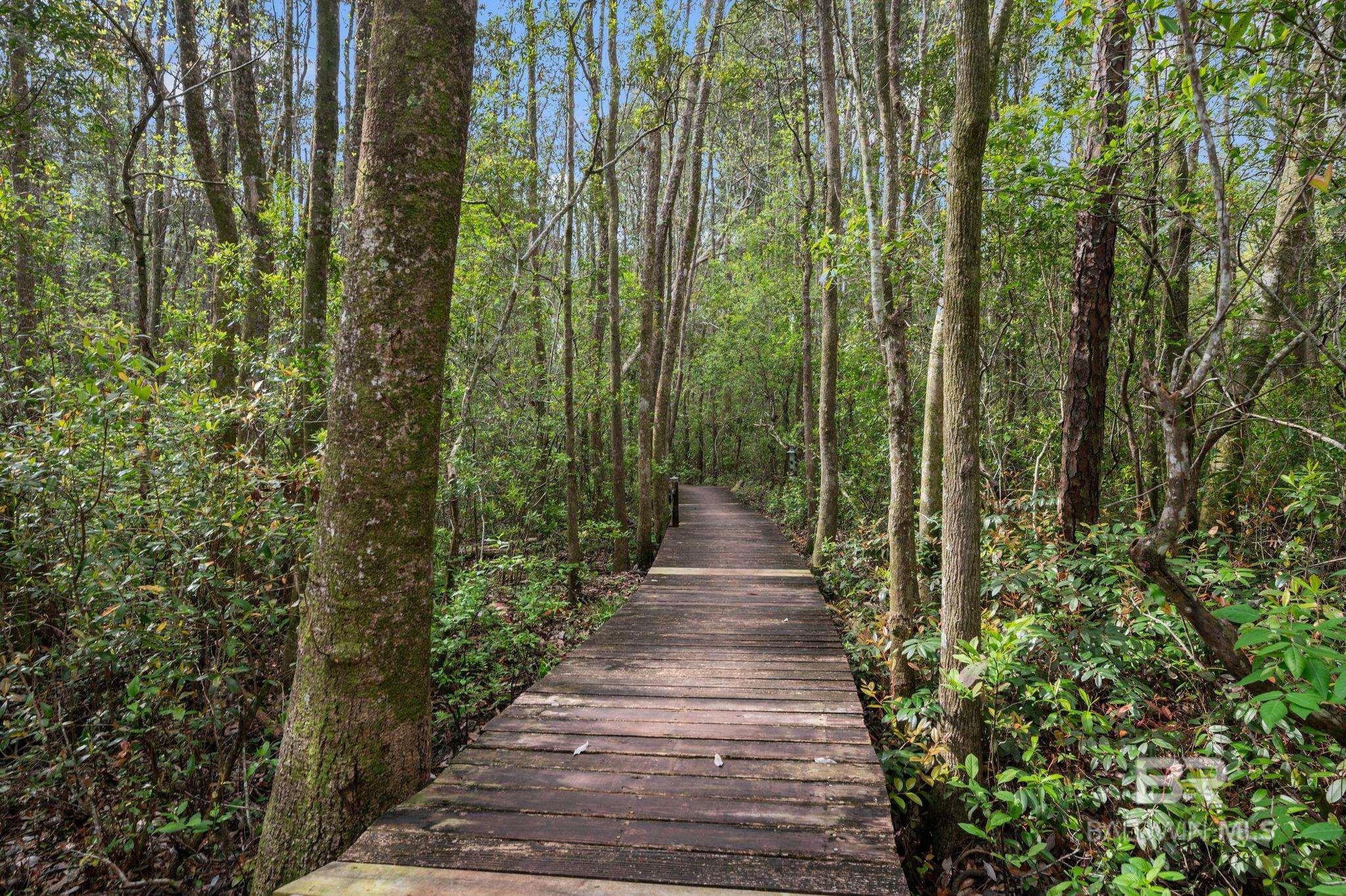 24711 County Road 20, Elberta, AL, 36530