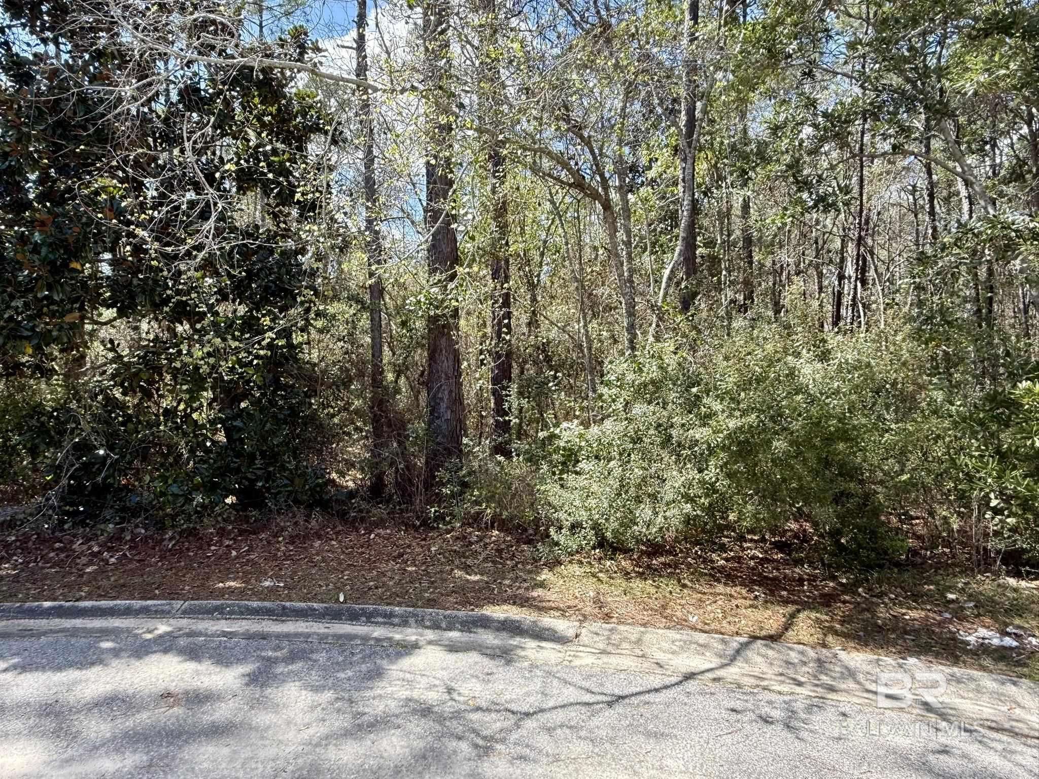 Gulf Shores, AL, 36542-3237