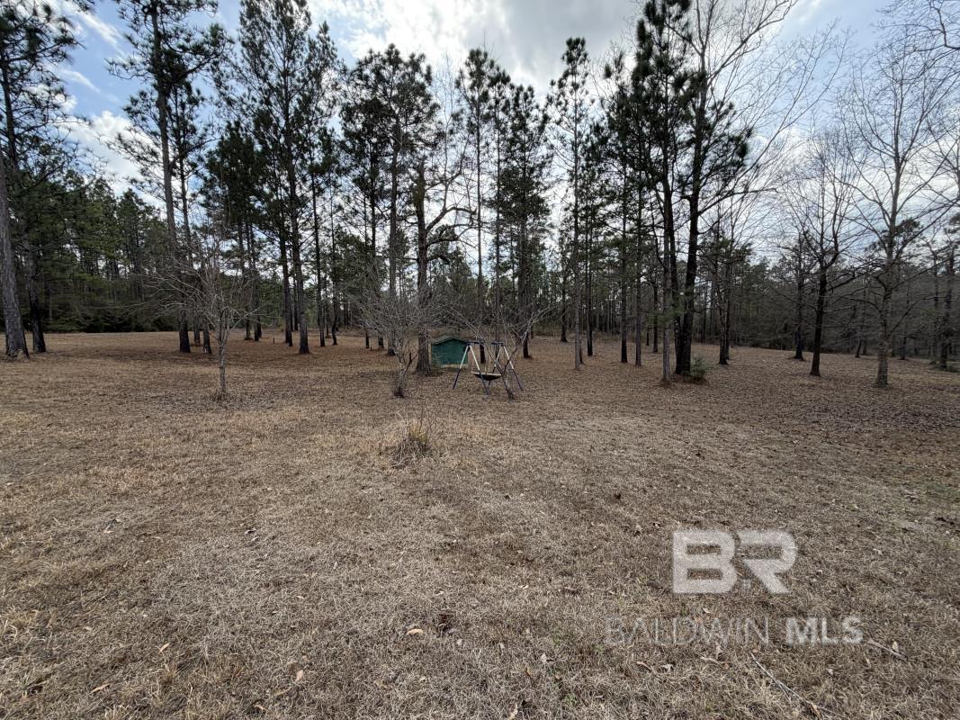 19225 Joan Harris Road, Mount Vernon, AL, 36560