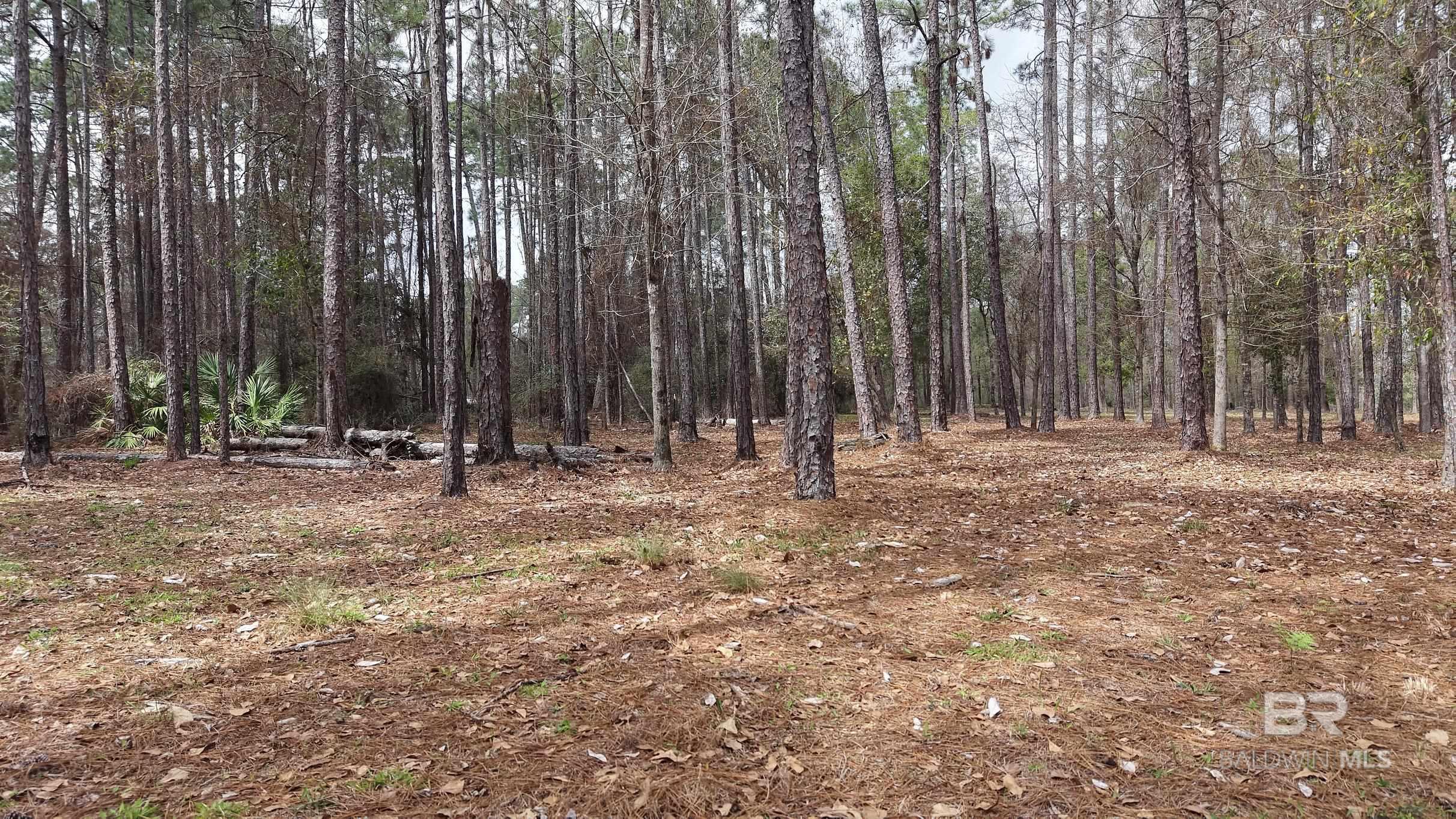 0 Wolf Bay Drive, Foley, AL, 36535