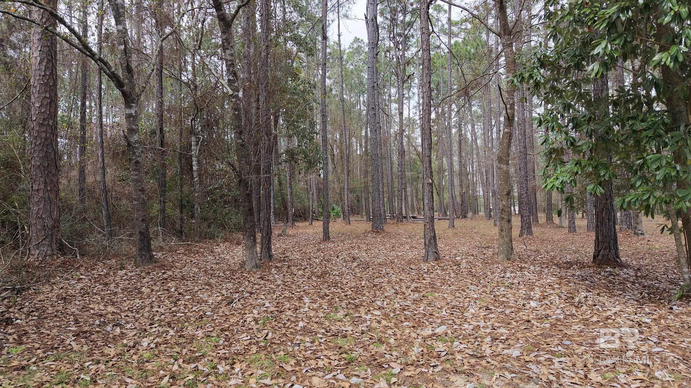 0 Wolf Bay Drive, Foley, AL, 36535