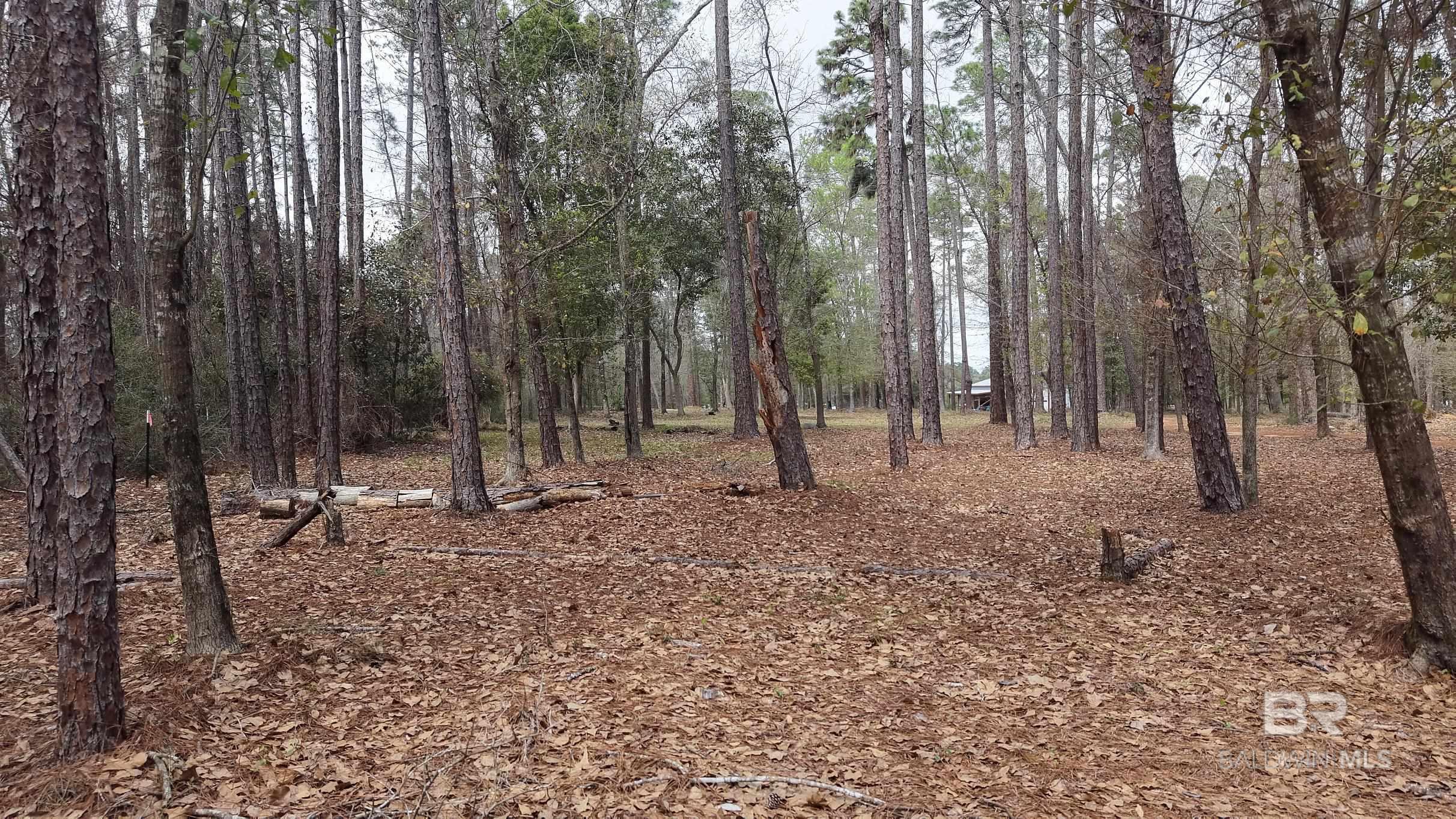 0 Wolf Bay Drive, Foley, AL, 36535