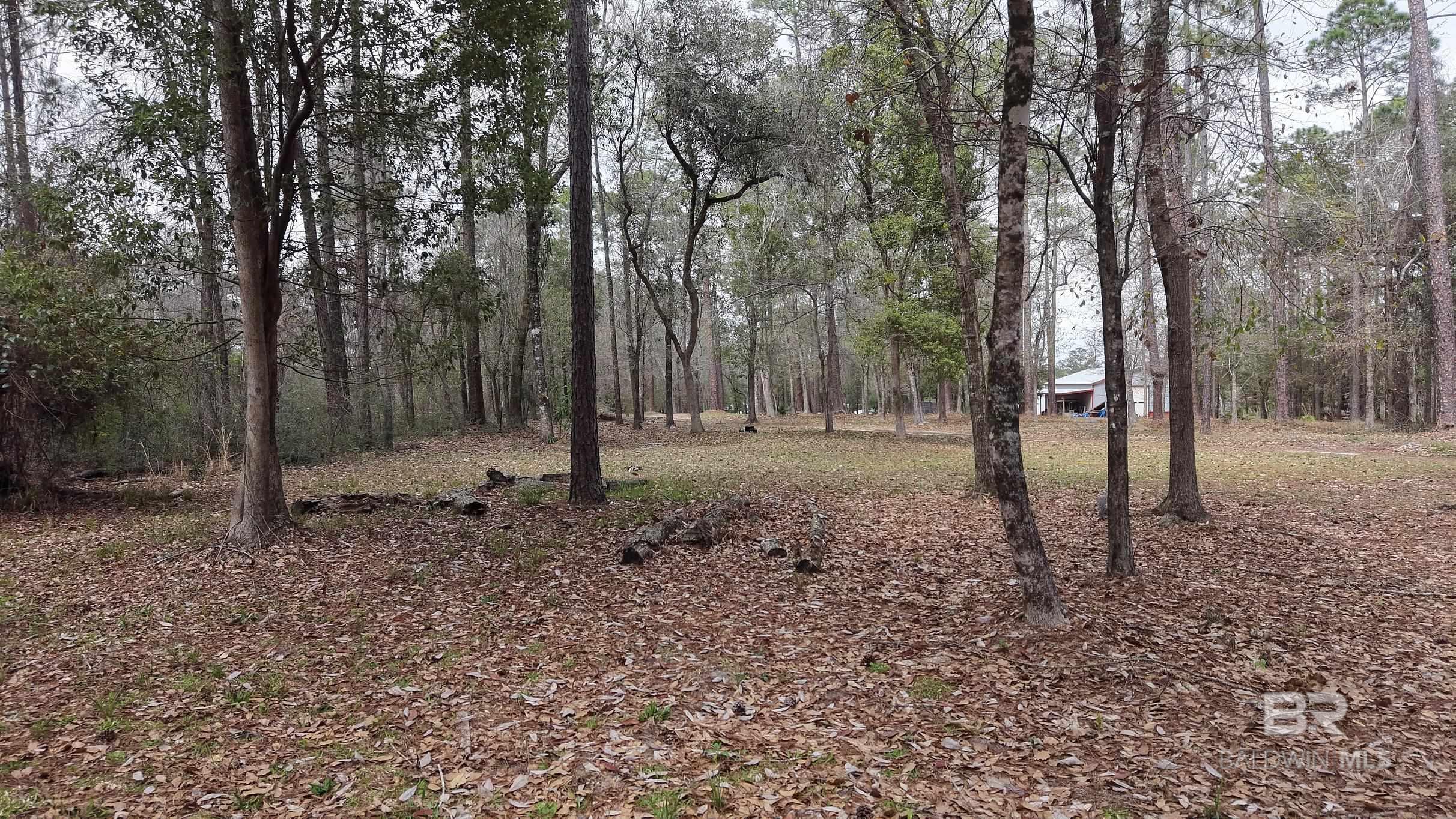 0 Wolf Bay Drive, Foley, AL, 36535