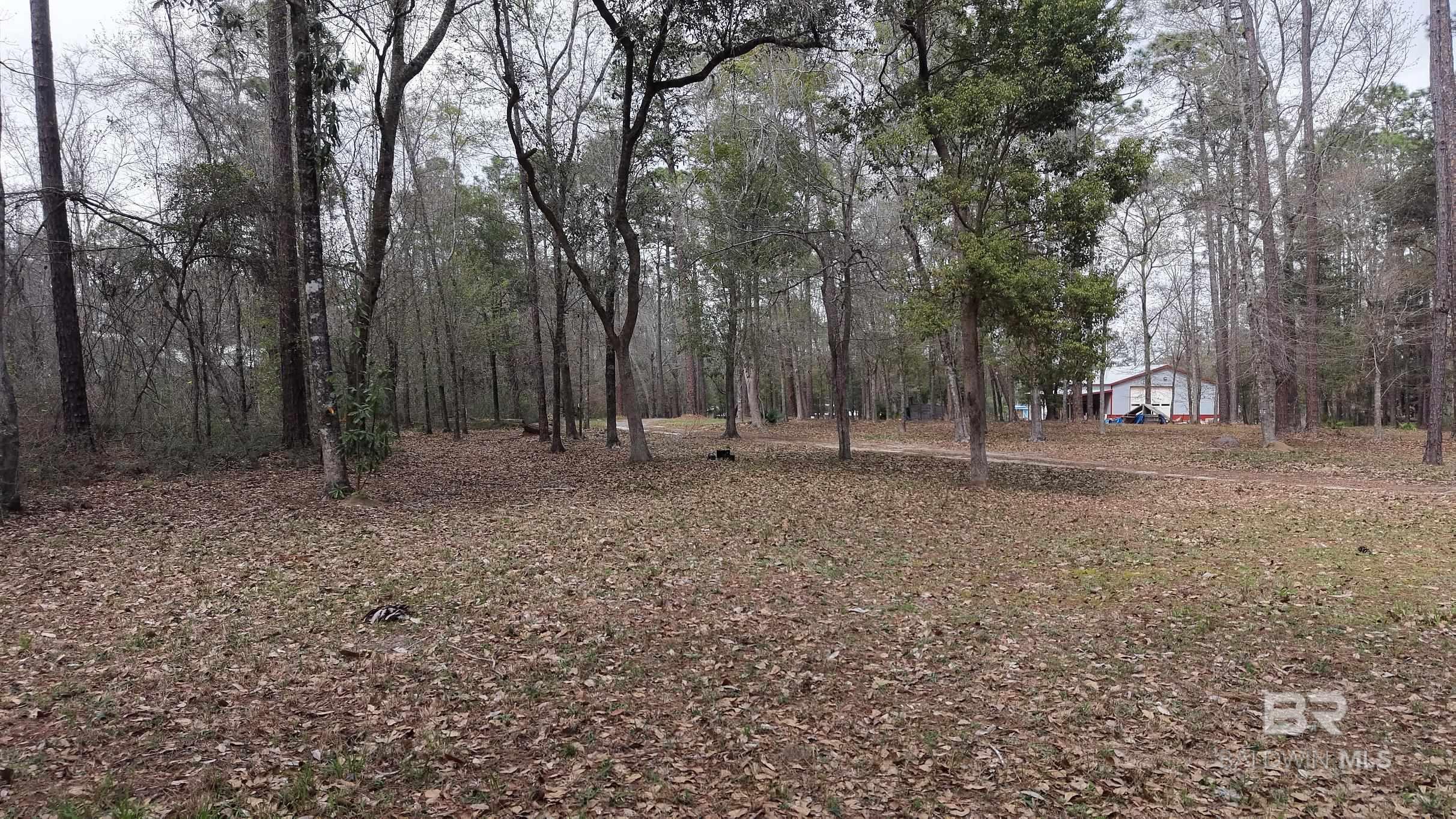 0 Wolf Bay Drive, Foley, AL, 36535