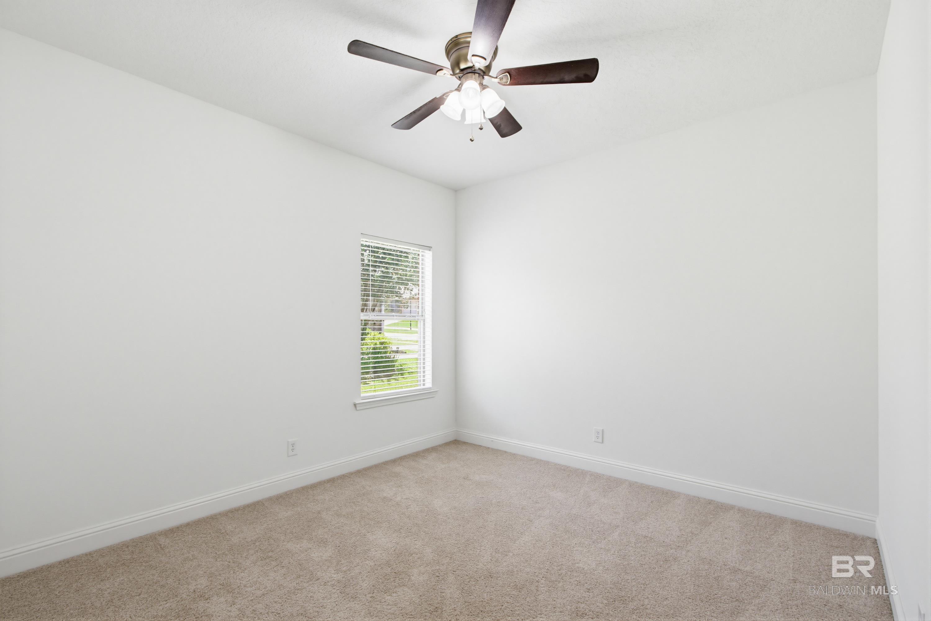 393649 | Photo 13