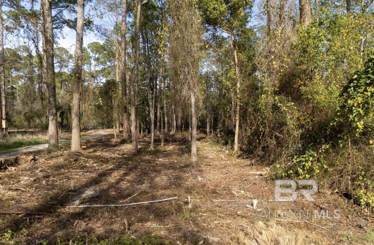 0 Shore Drive, Foley, AL, 36535
