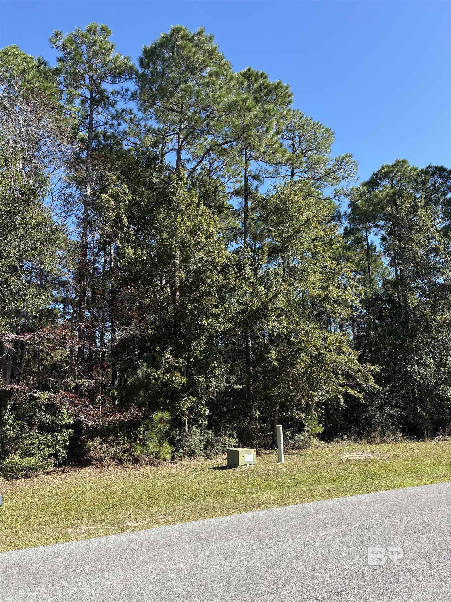 Homes for Sale in Martyn Woods - Gulf Shores AL