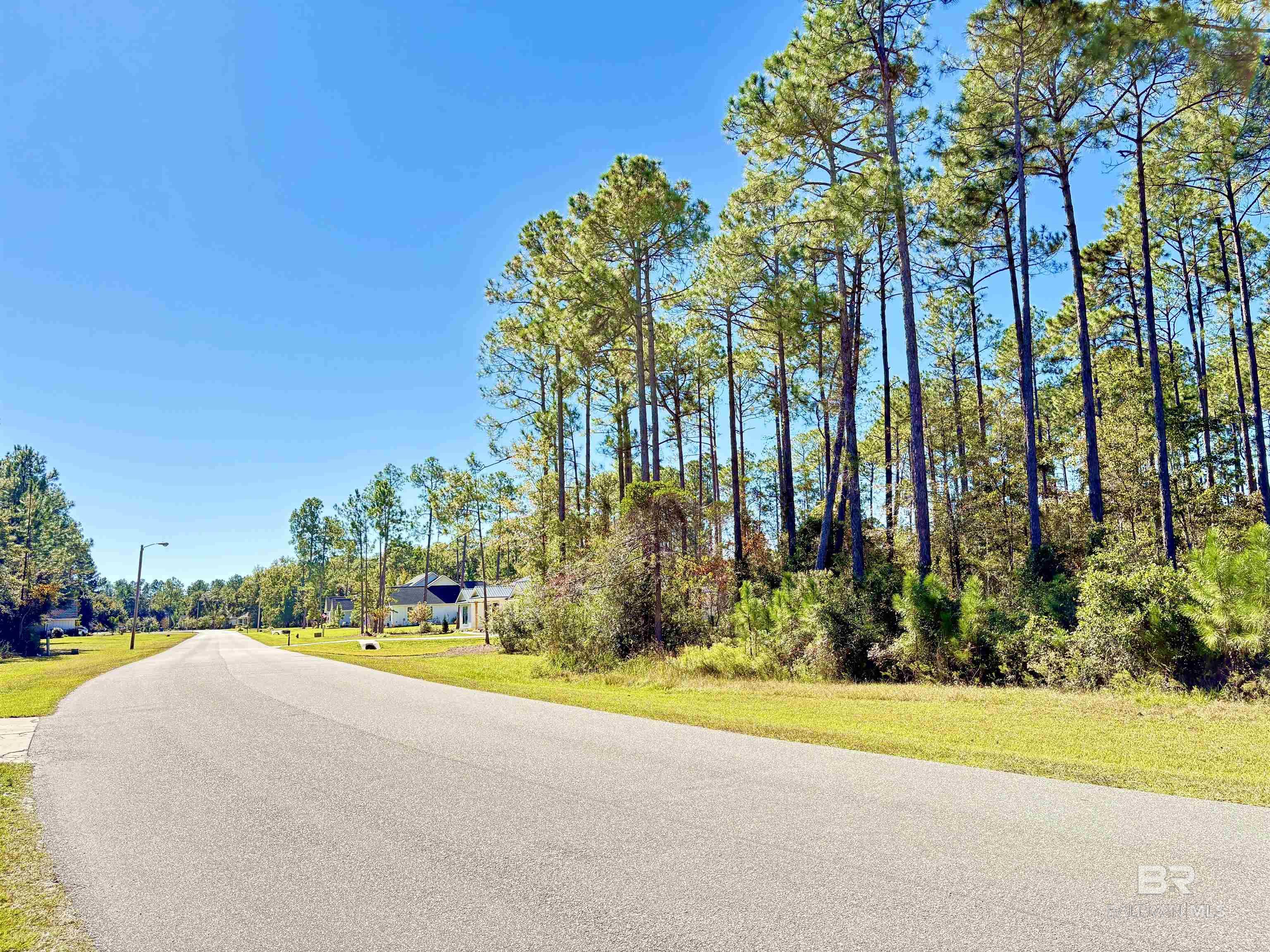 Homes for Sale in Martyn Woods - Gulf Shores AL