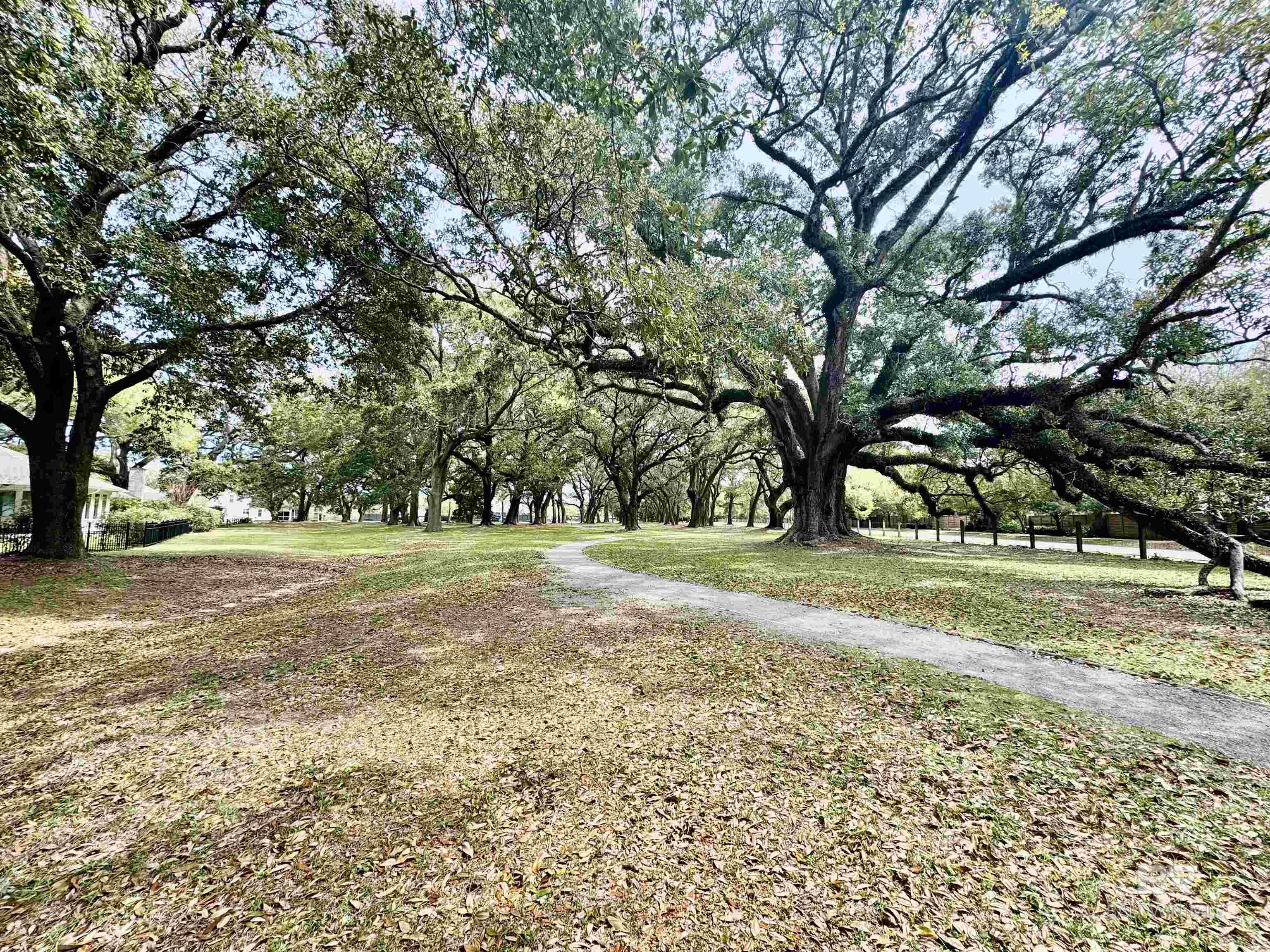135 Mulberry Lane, Fairhope, AL, 36532