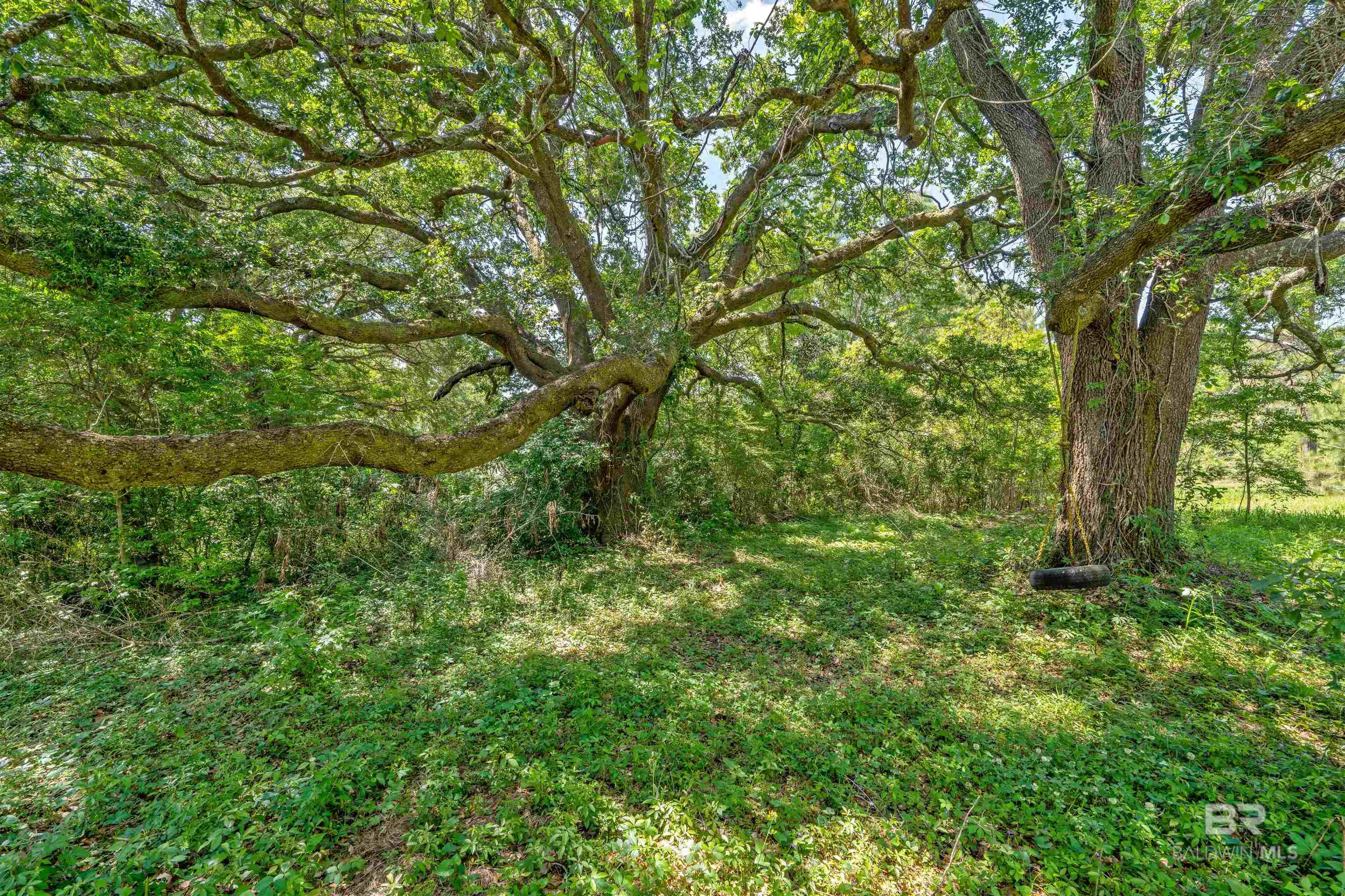 20201 County Road 33, Fairhope, AL, 36532