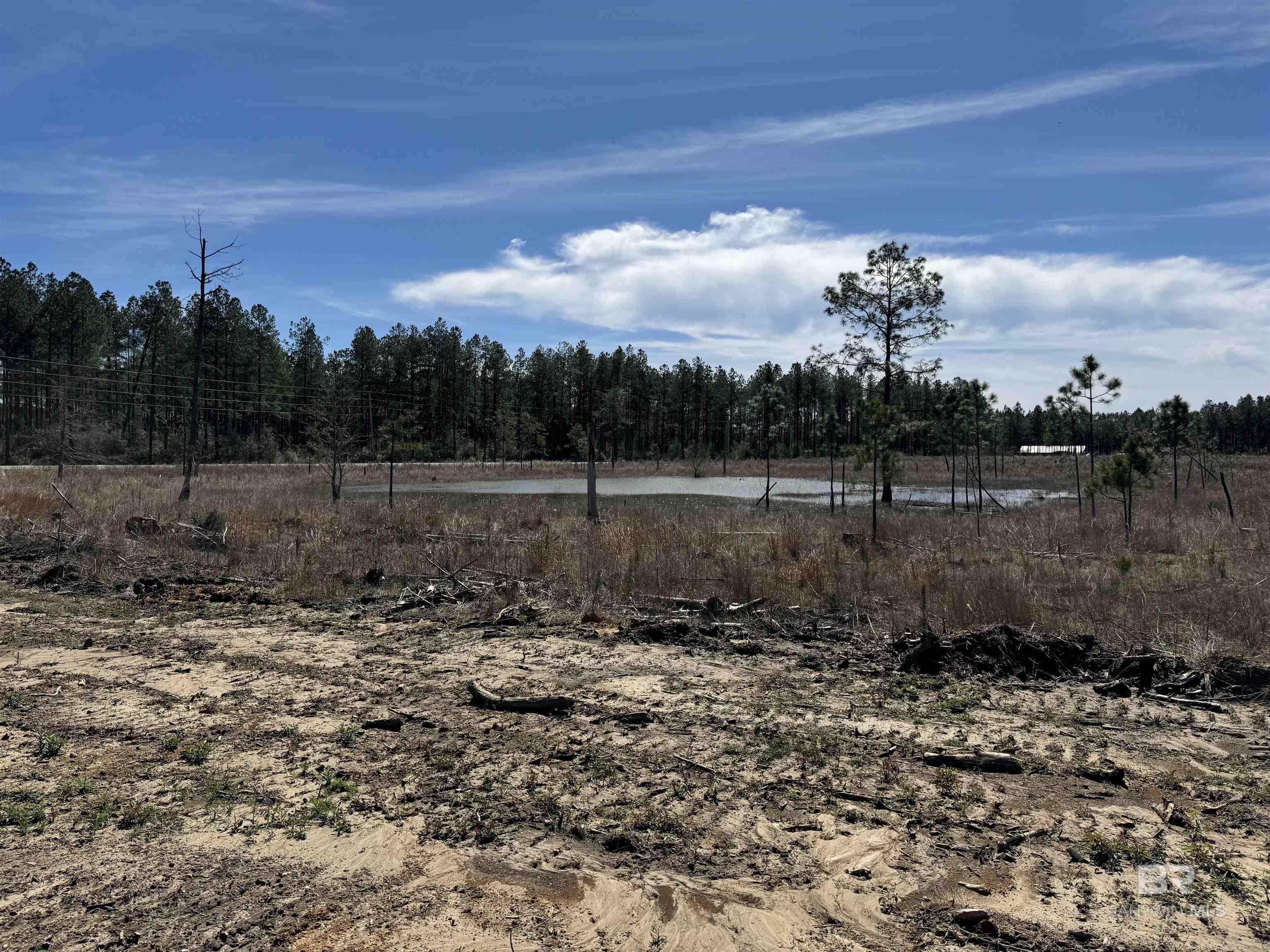 Homes for sale in Robertsdale, AL | 2 County Road 64 Extension, Robertsdale, AL 36567 | MLS# 393797