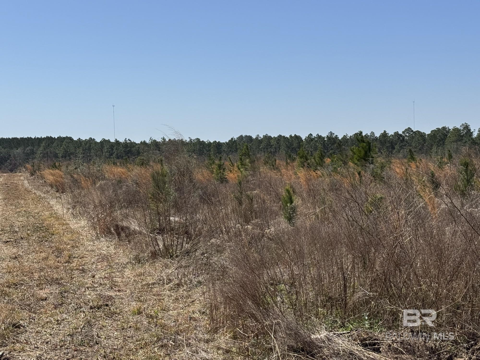 Homes for sale in Robertsdale, AL | 2 County Road 64 Extension, Robertsdale, AL 36567 | MLS# 393797