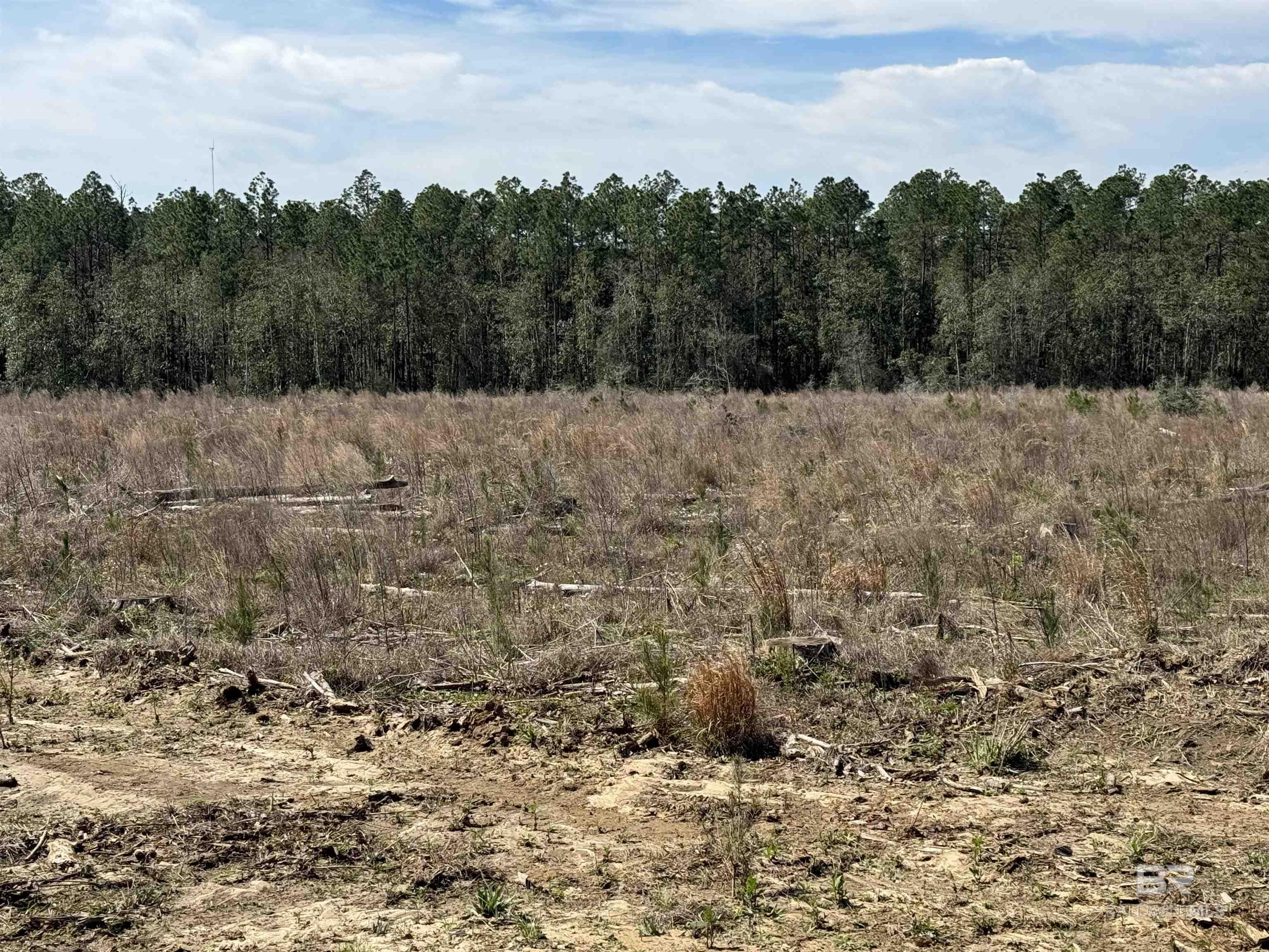 Homes for sale in Robertsdale, AL | 2 County Road 64 Extension, Robertsdale, AL 36567 | MLS# 393797