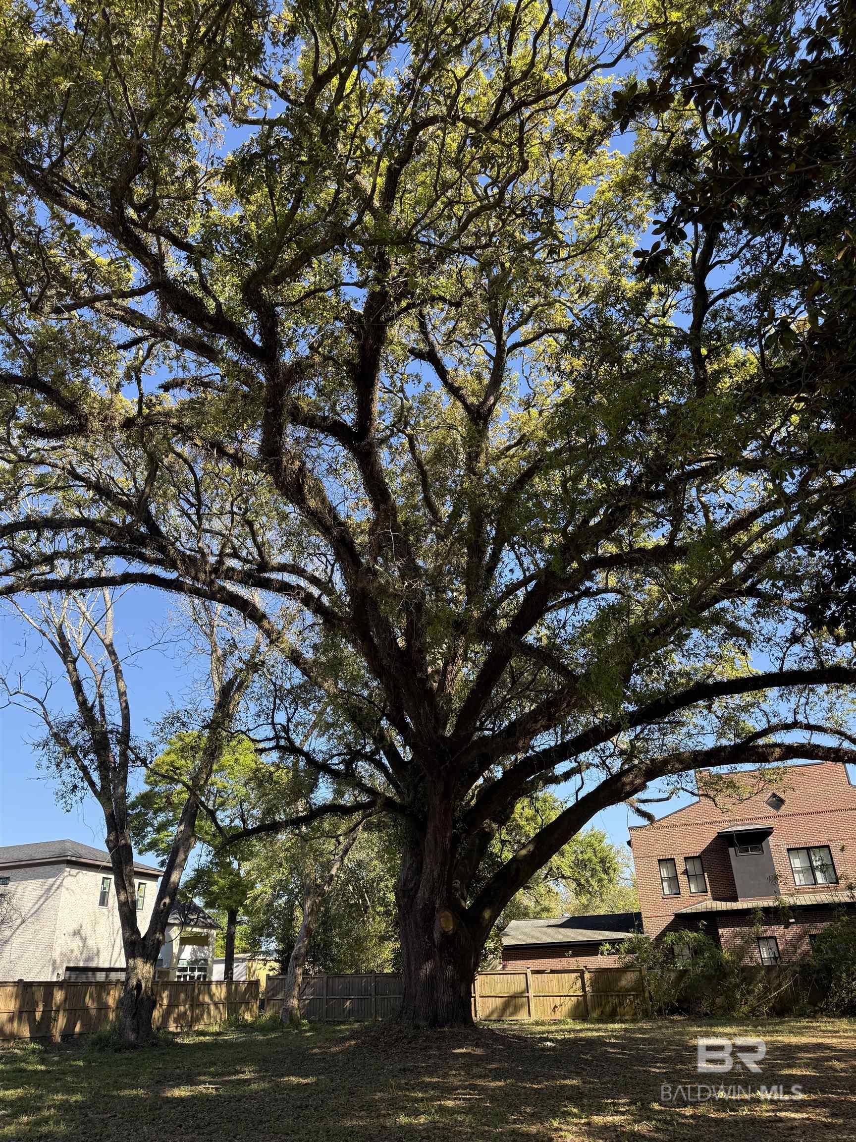 208 Oswalt Street, Fairhope, AL, 36532