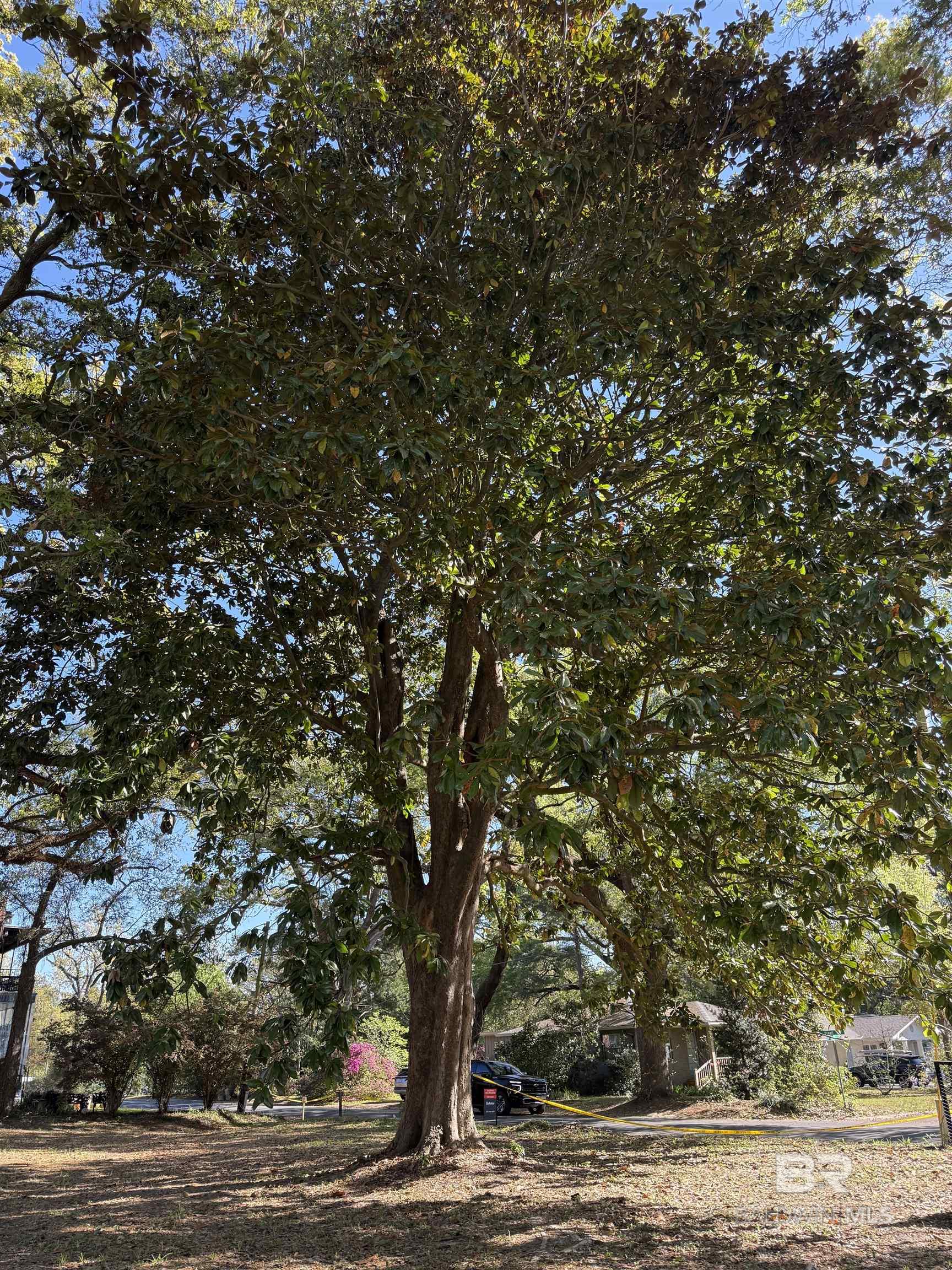 208 Oswalt Street, Fairhope, AL, 36532