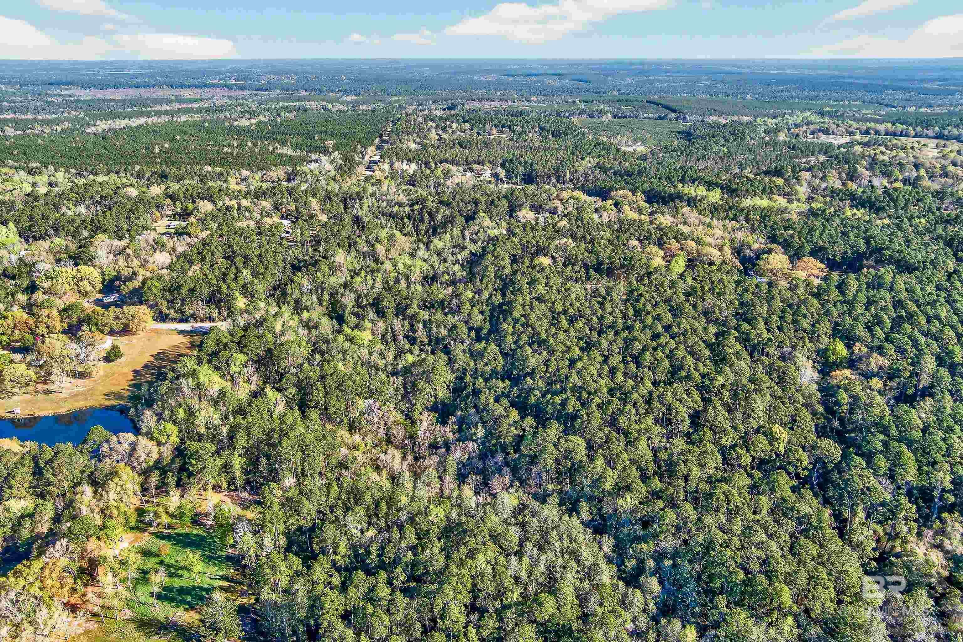 0 Woodland Acres Lane, Loxley, AL, 36551