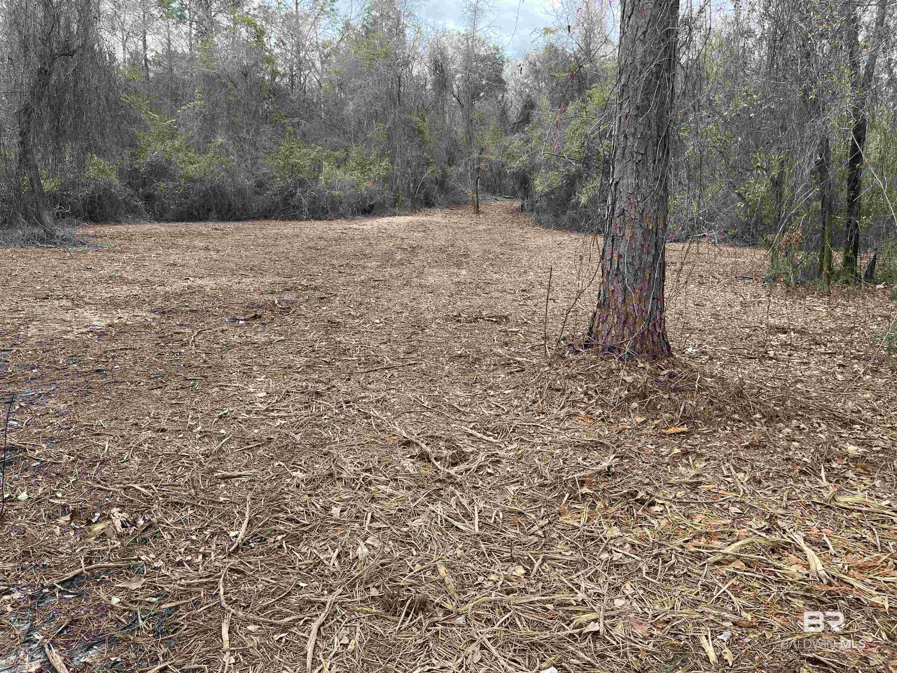 0 Dunbar Road, Robertsdale, AL, 36567