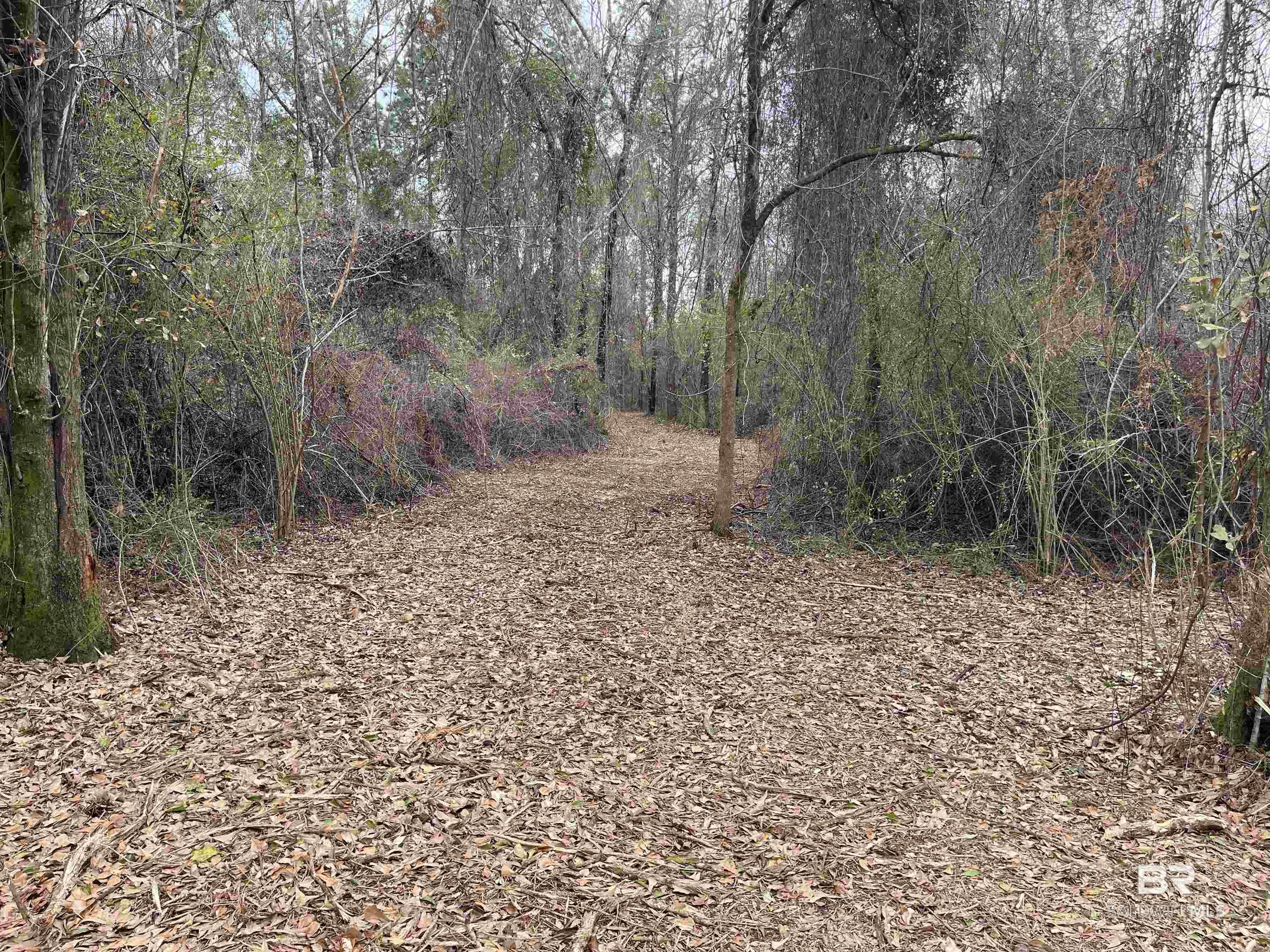 0 Dunbar Road, Robertsdale, AL, 36567