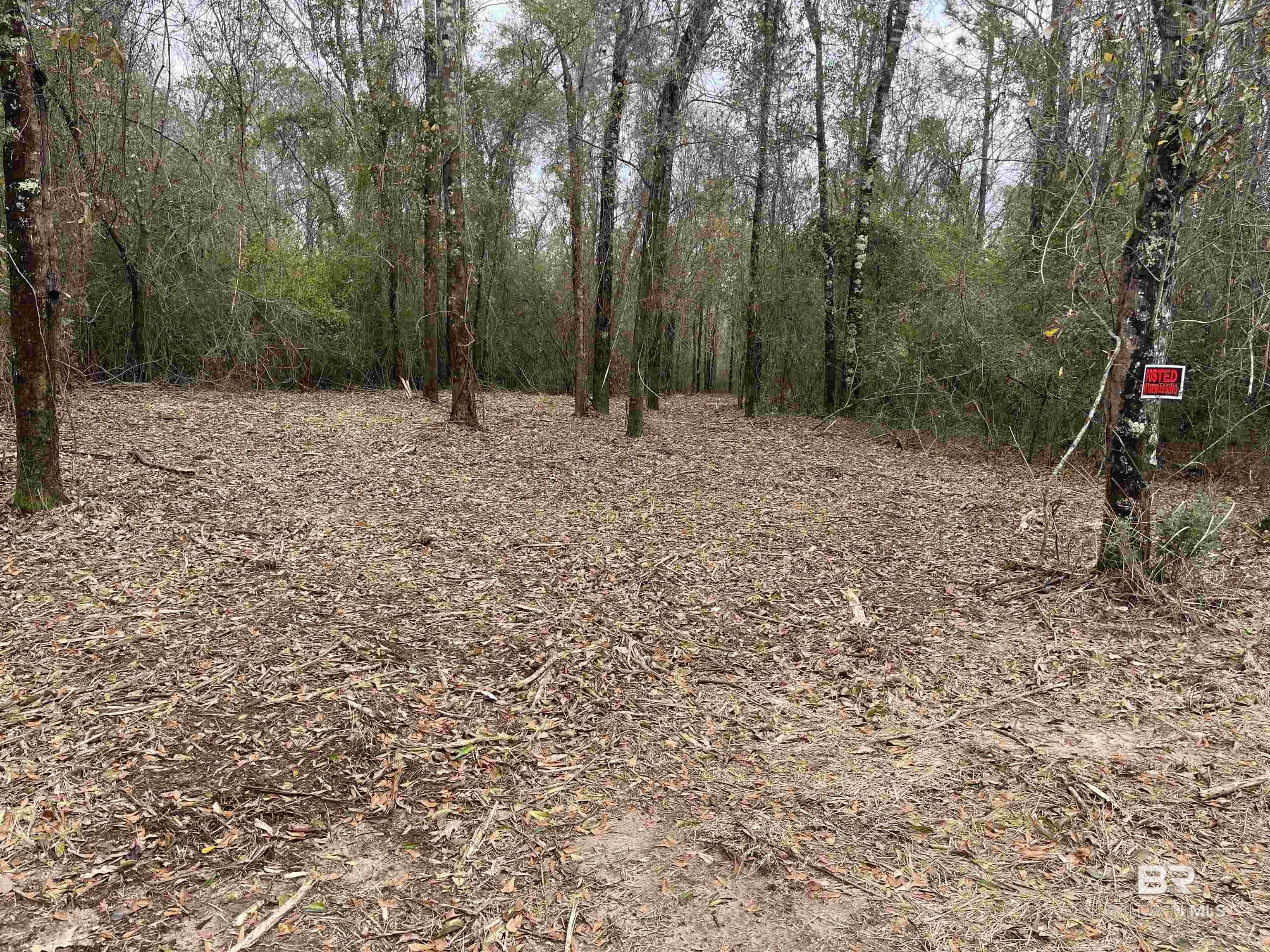 0 Dunbar Road, Robertsdale, AL, 36567