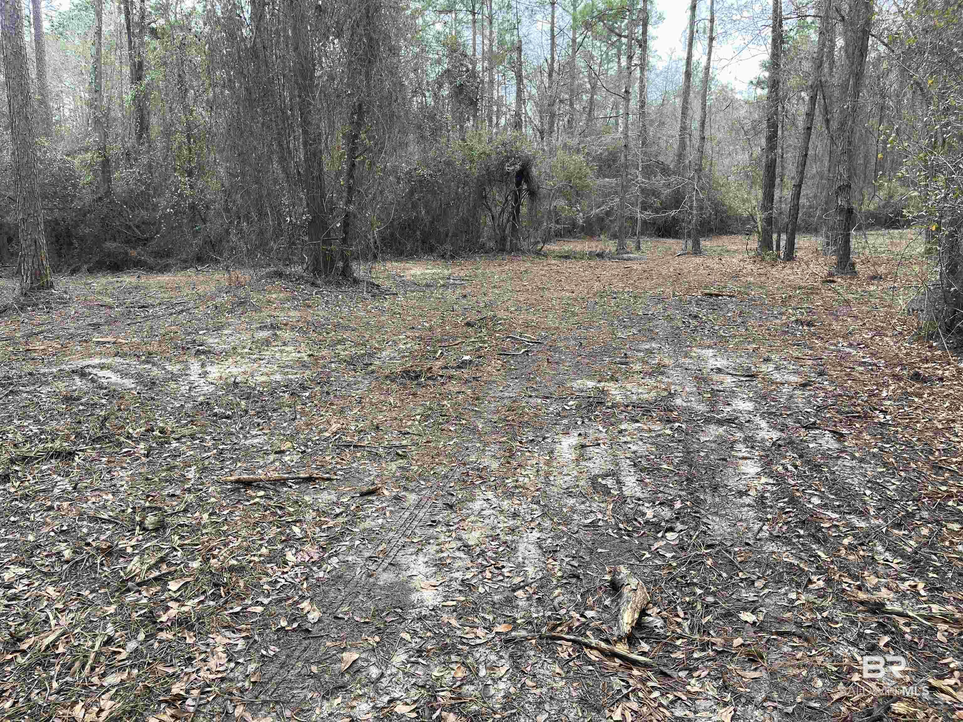 0 Dunbar Road, Robertsdale, AL, 36567