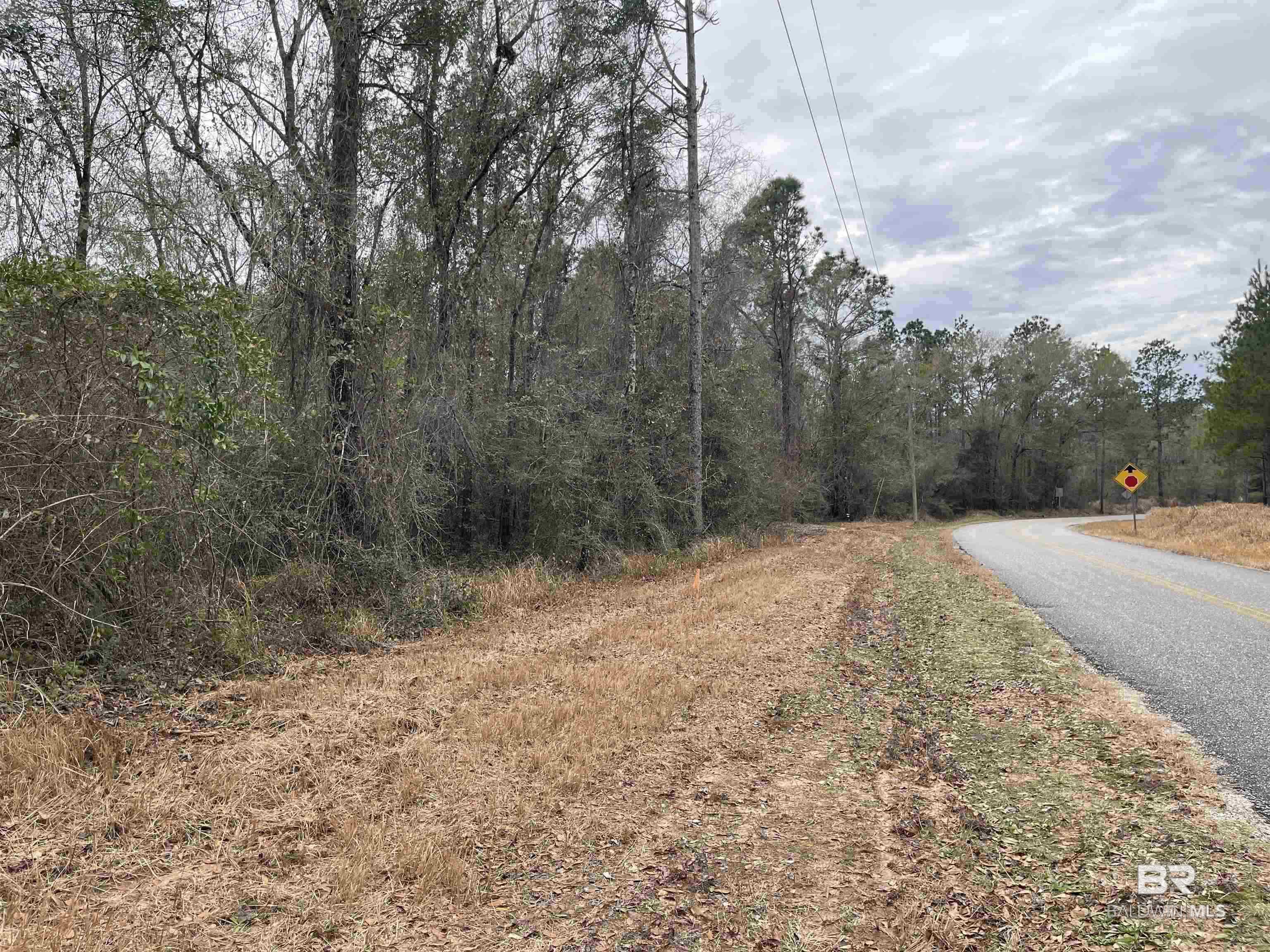 0 Dunbar Road, Robertsdale, AL, 36567