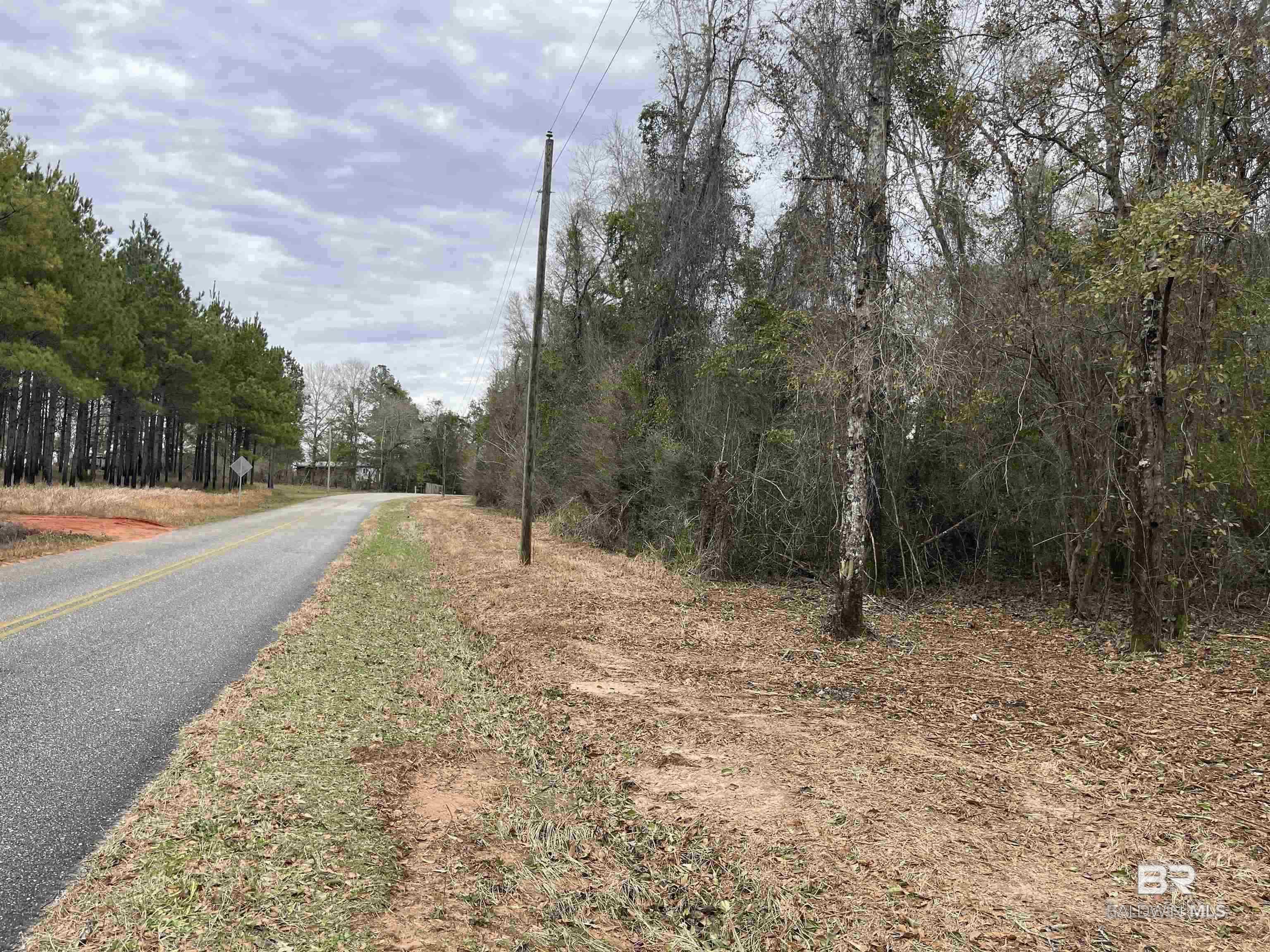 0 Dunbar Road, Robertsdale, AL, 36567