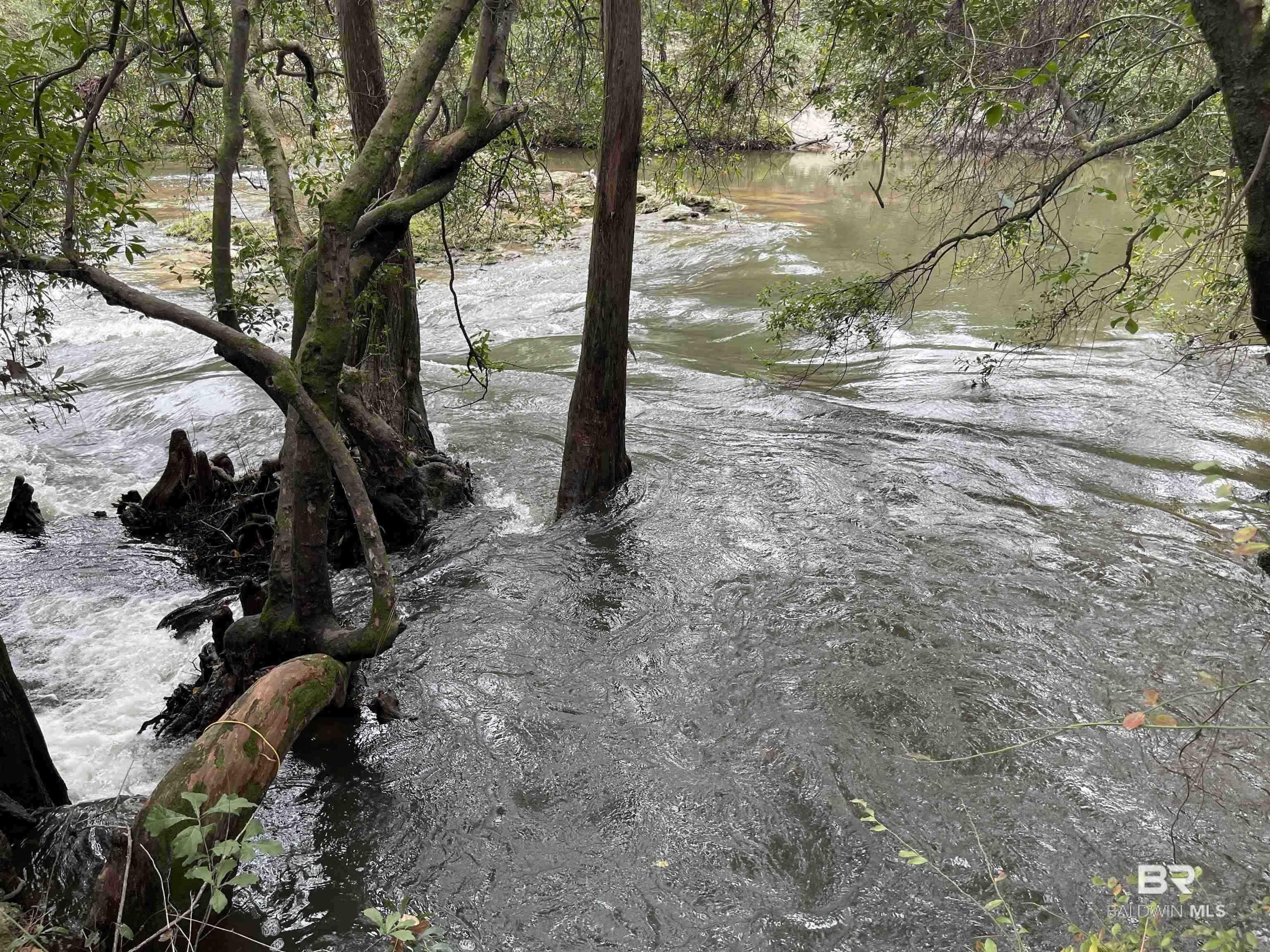 0 Dunbar Road, Robertsdale, AL, 36567