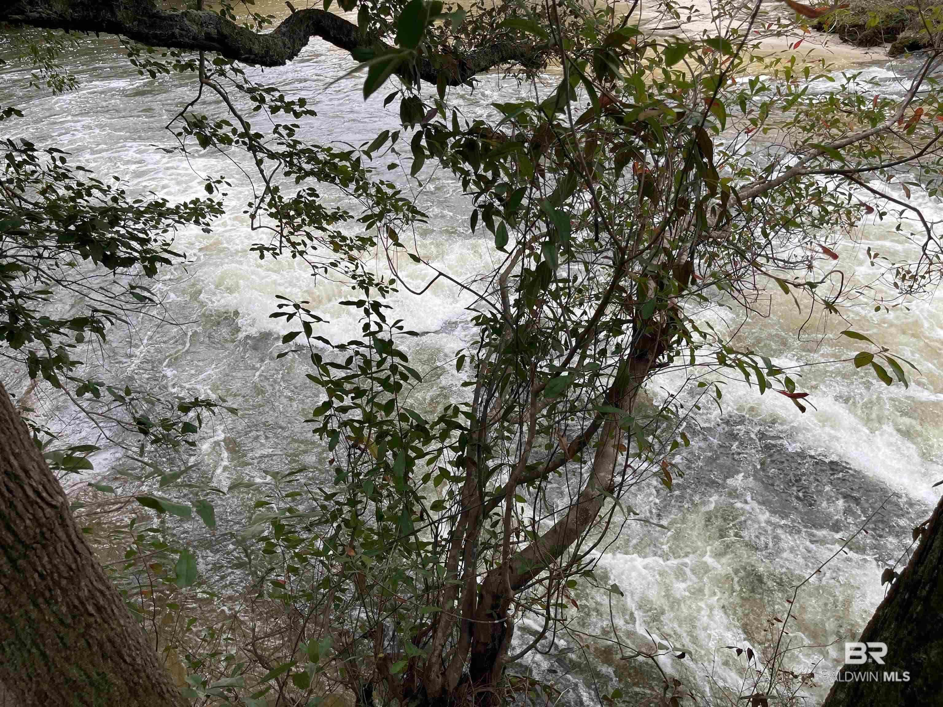 0 Dunbar Road, Robertsdale, AL, 36567