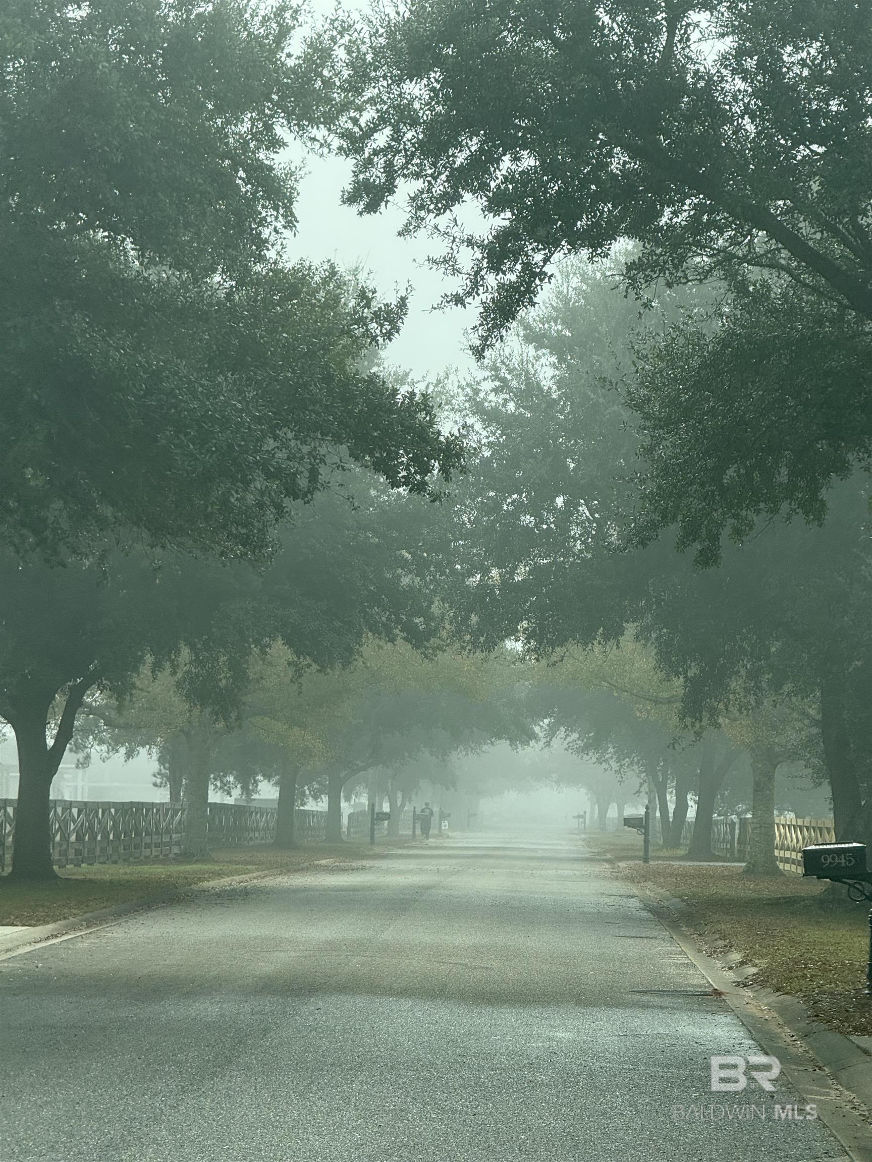 9720 Paddock Trace Drive, Foley, AL, 36535-5743