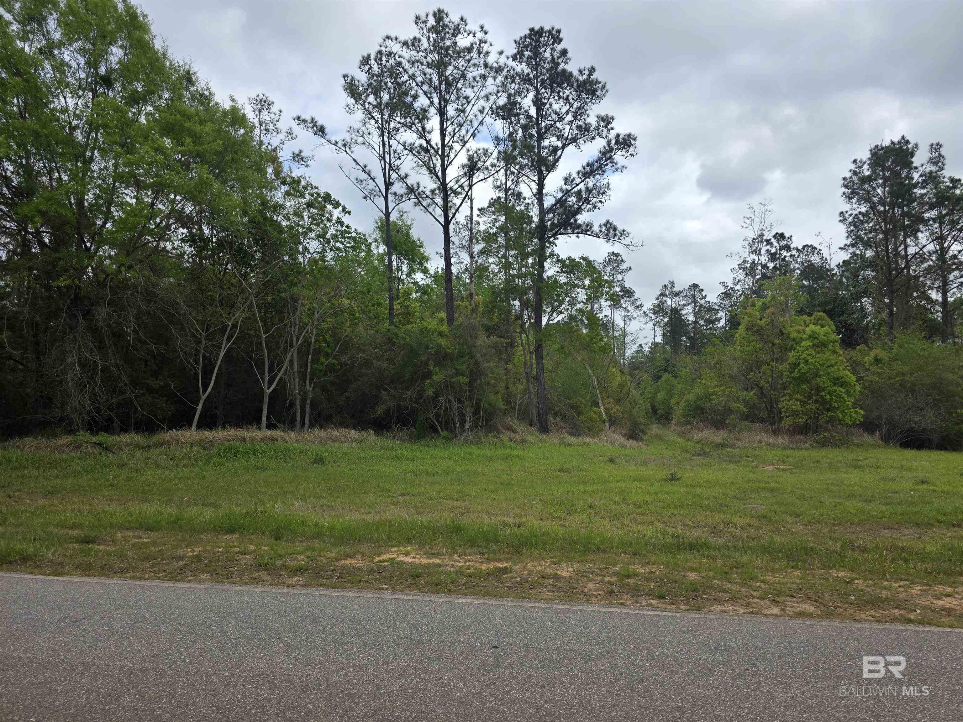 11631 Red Hill Rd Extension, Bay Minette, AL, 36507