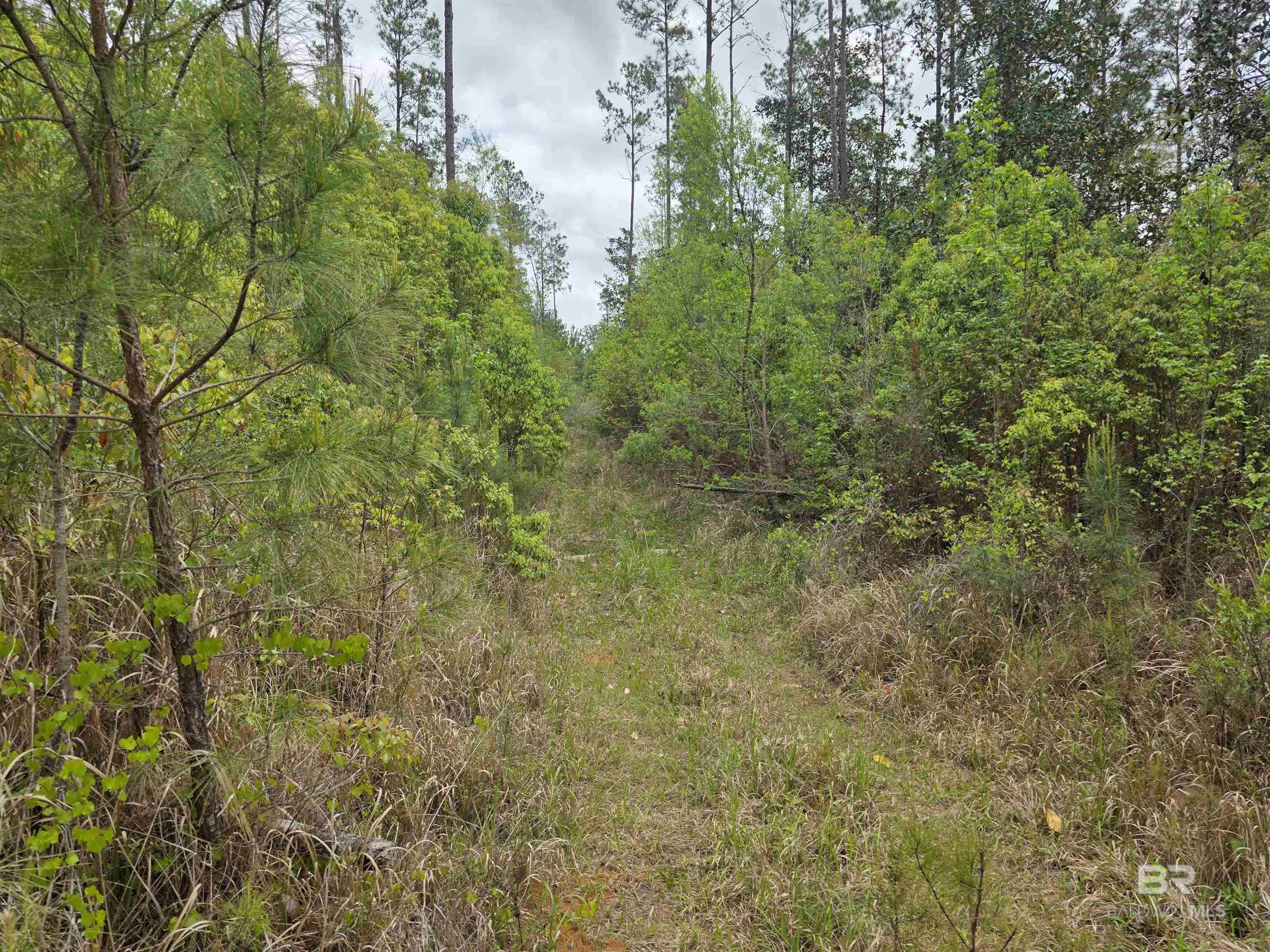 11631 Red Hill Rd Extension, Bay Minette, AL, 36507