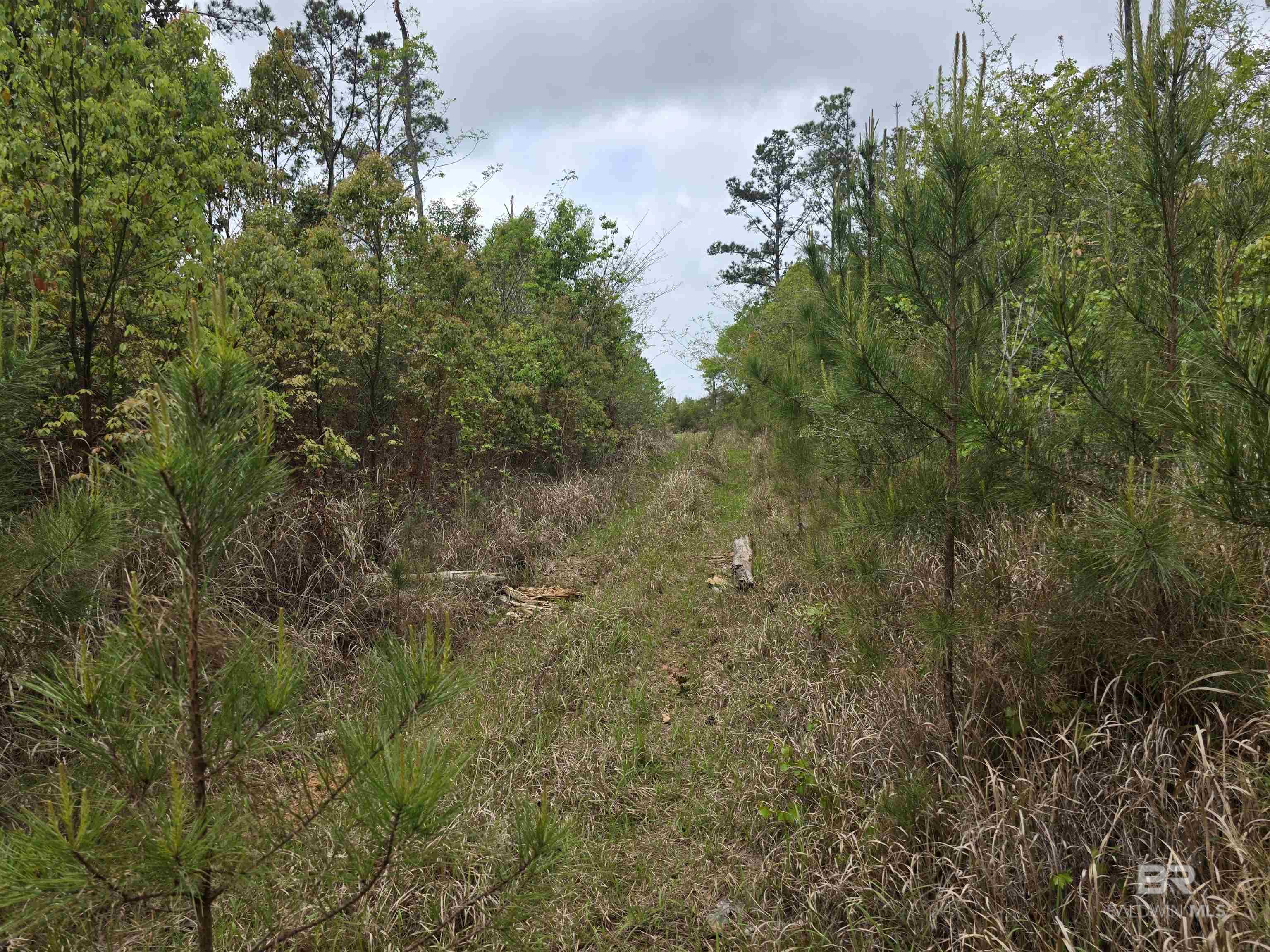 11631 Red Hill Rd Extension, Bay Minette, AL, 36507