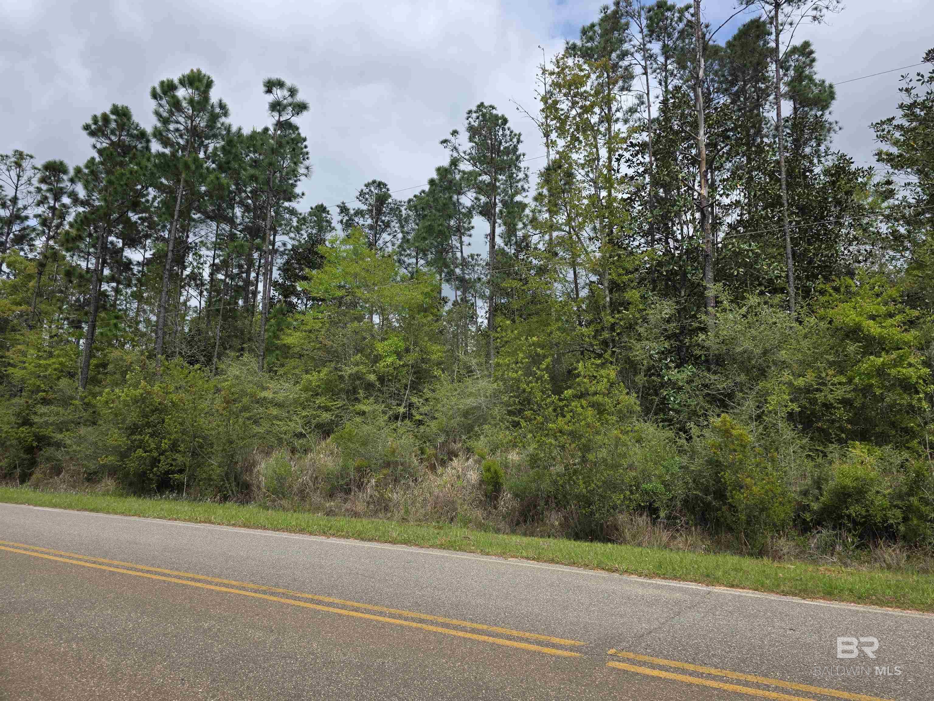 11631 Red Hill Rd Extension, Bay Minette, AL, 36507