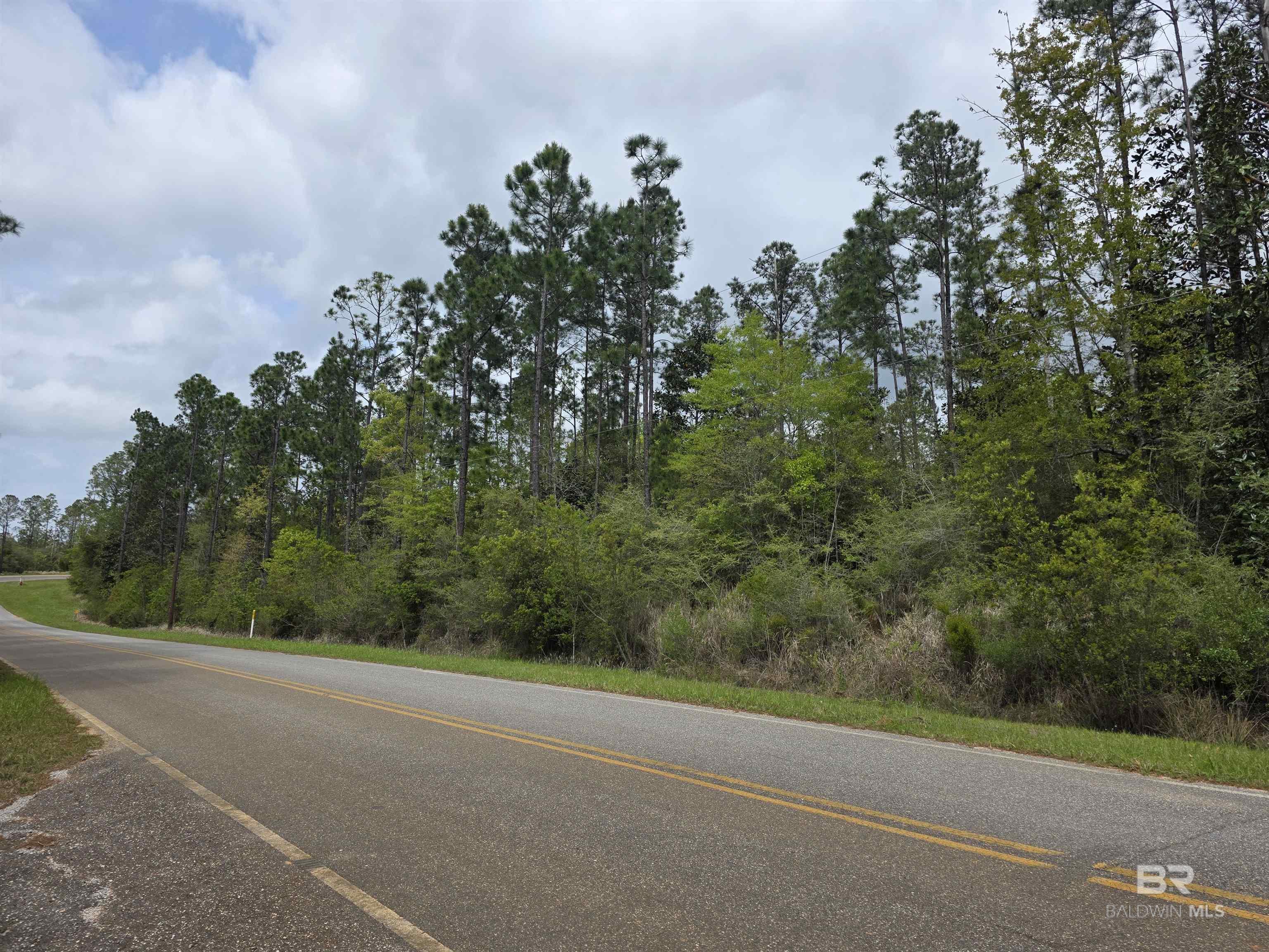 11631 Red Hill Rd Extension, Bay Minette, AL, 36507