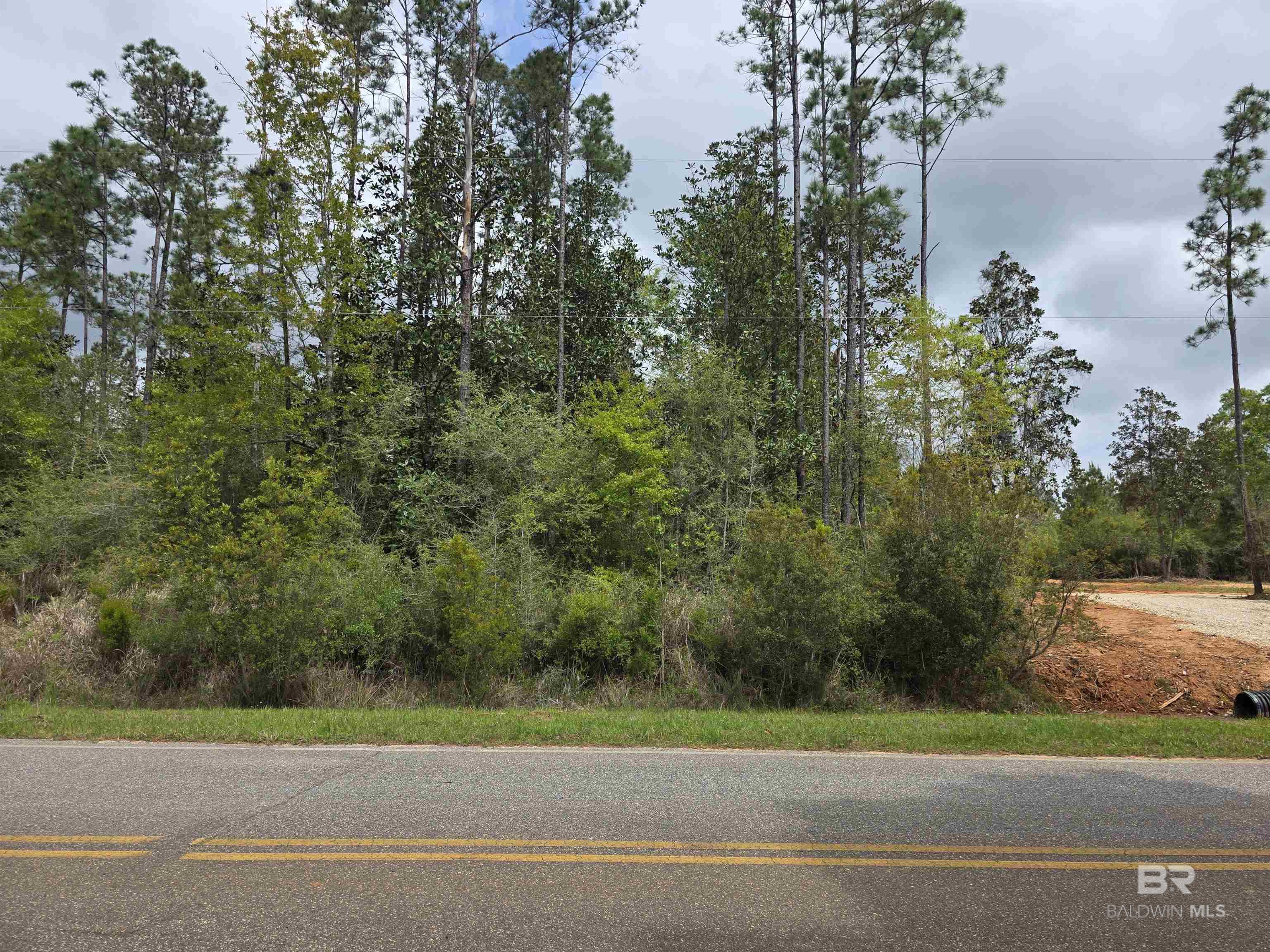 11631 Red Hill Rd Extension, Bay Minette, AL, 36507