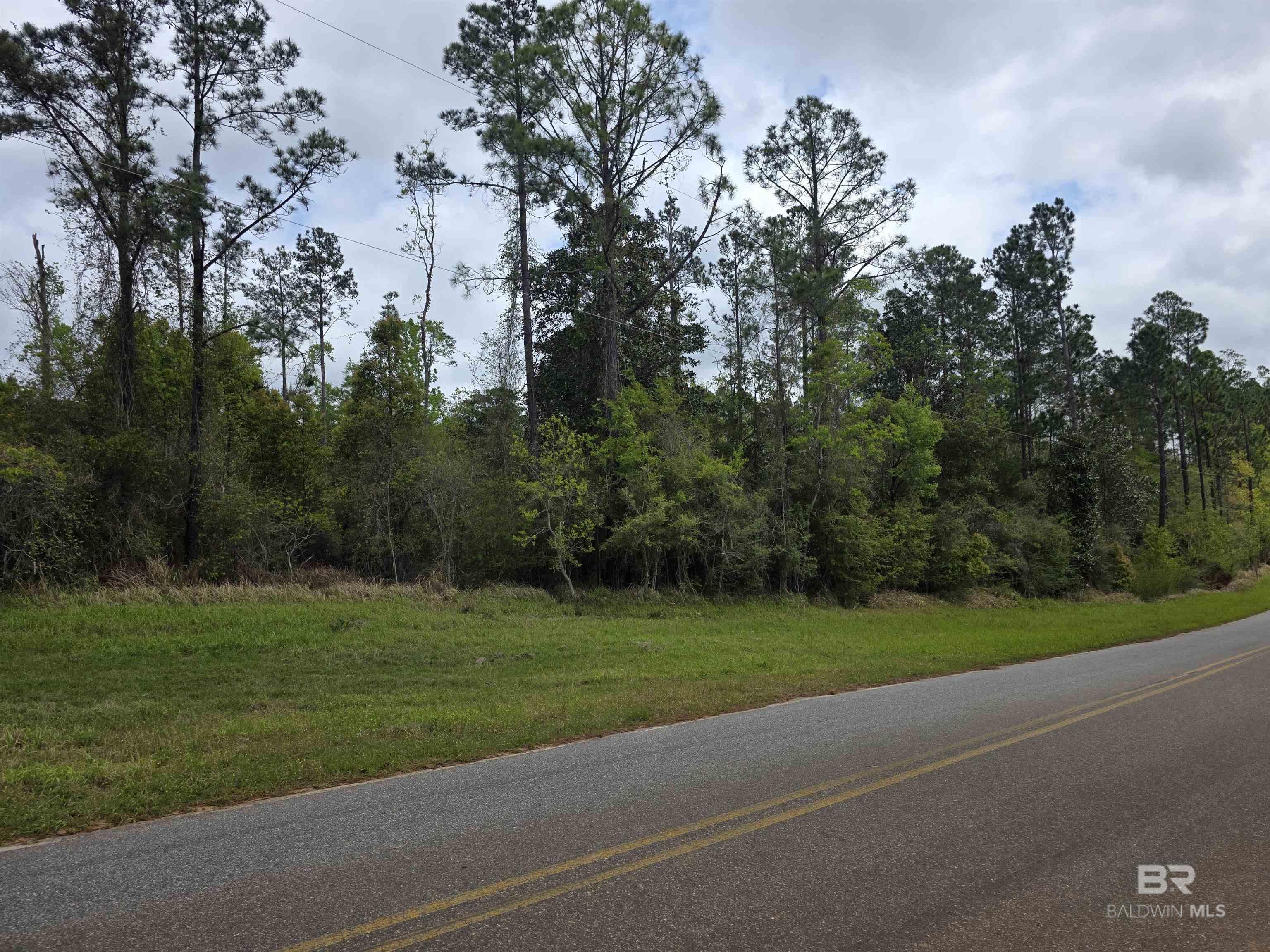 11631 Red Hill Rd Extension, Bay Minette, AL, 36507