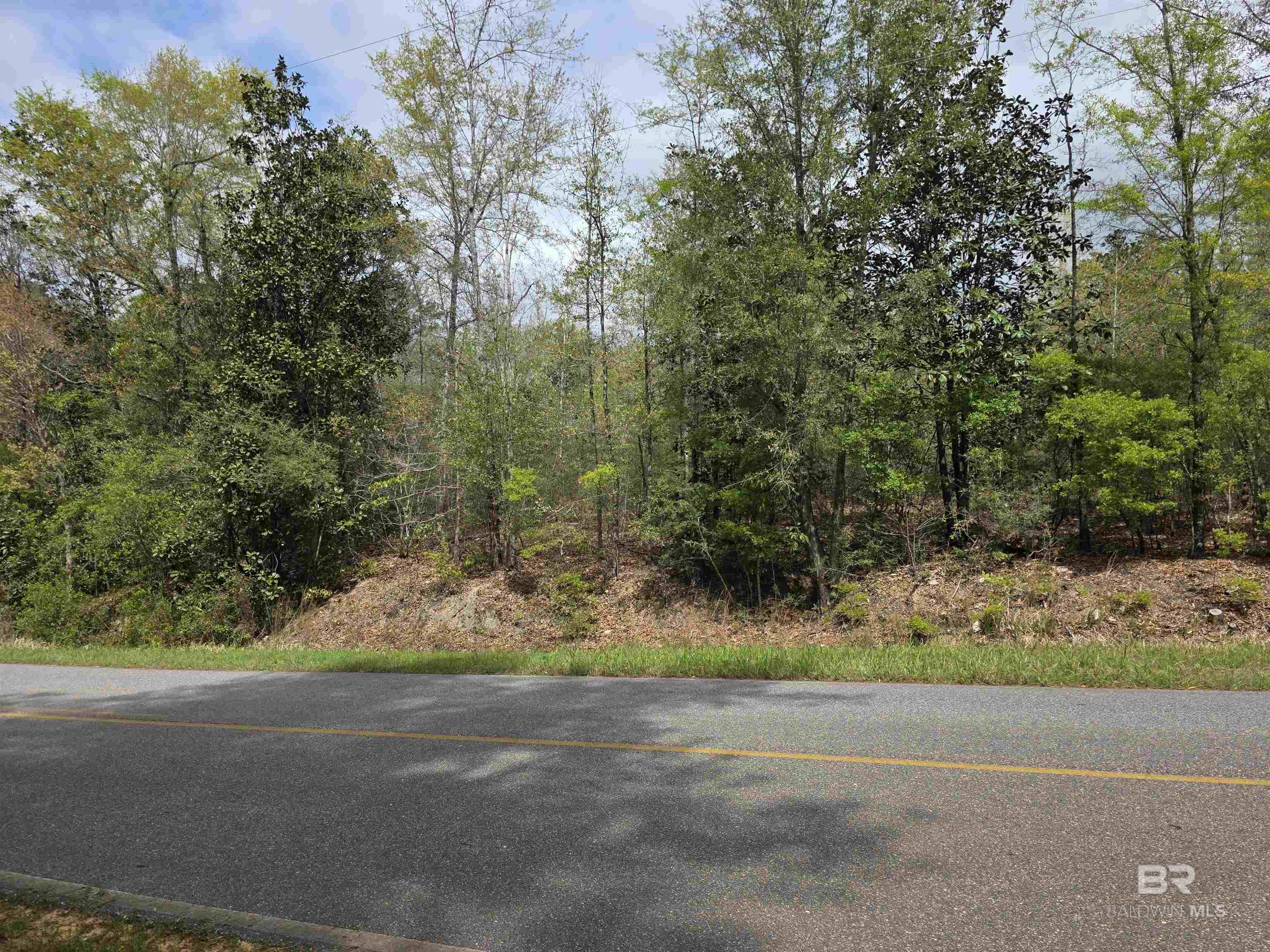 12185 Red Hill Rd Extension, Bay Minette, AL, 36507