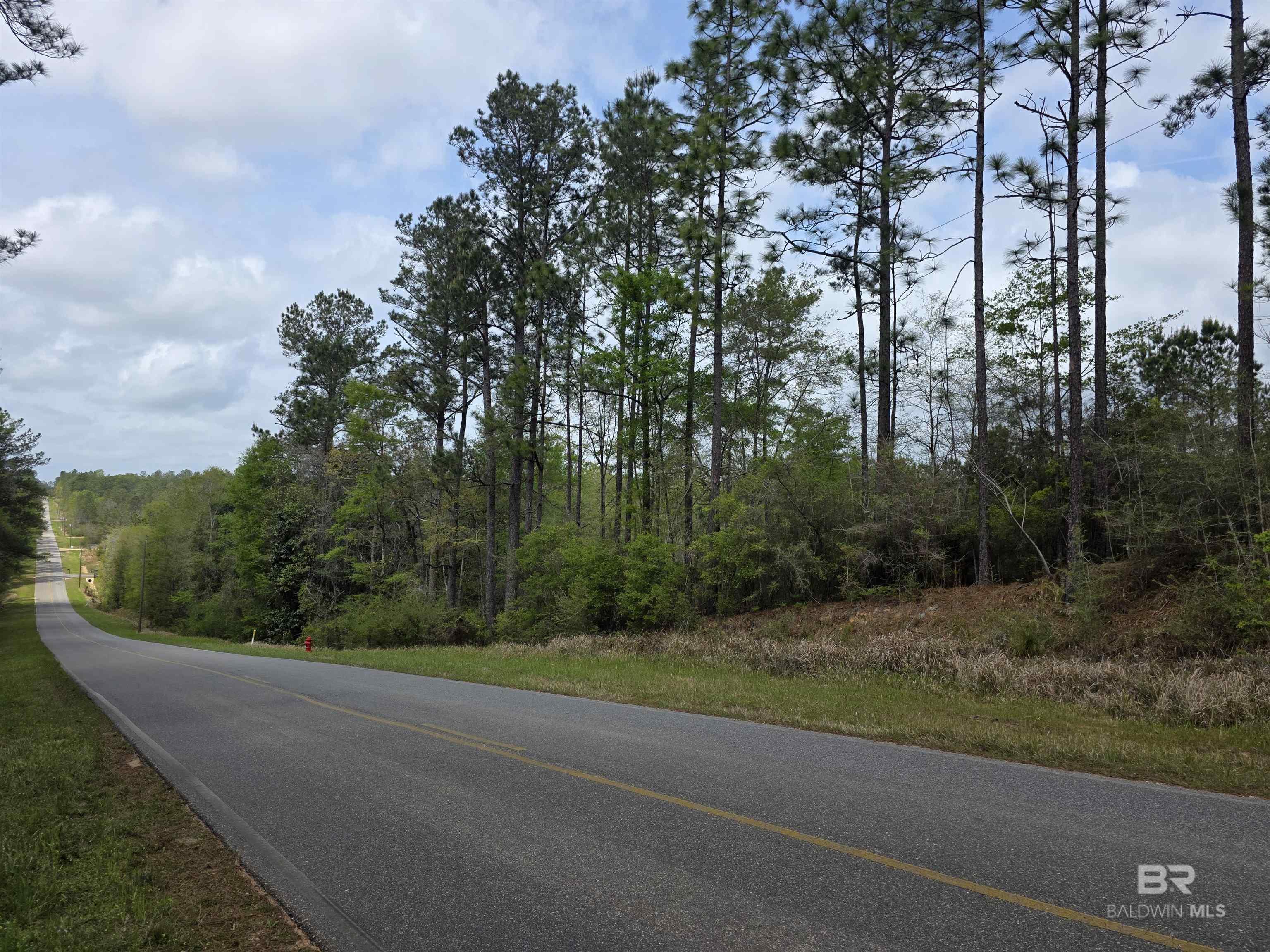 12185 Red Hill Rd Extension, Bay Minette, AL, 36507
