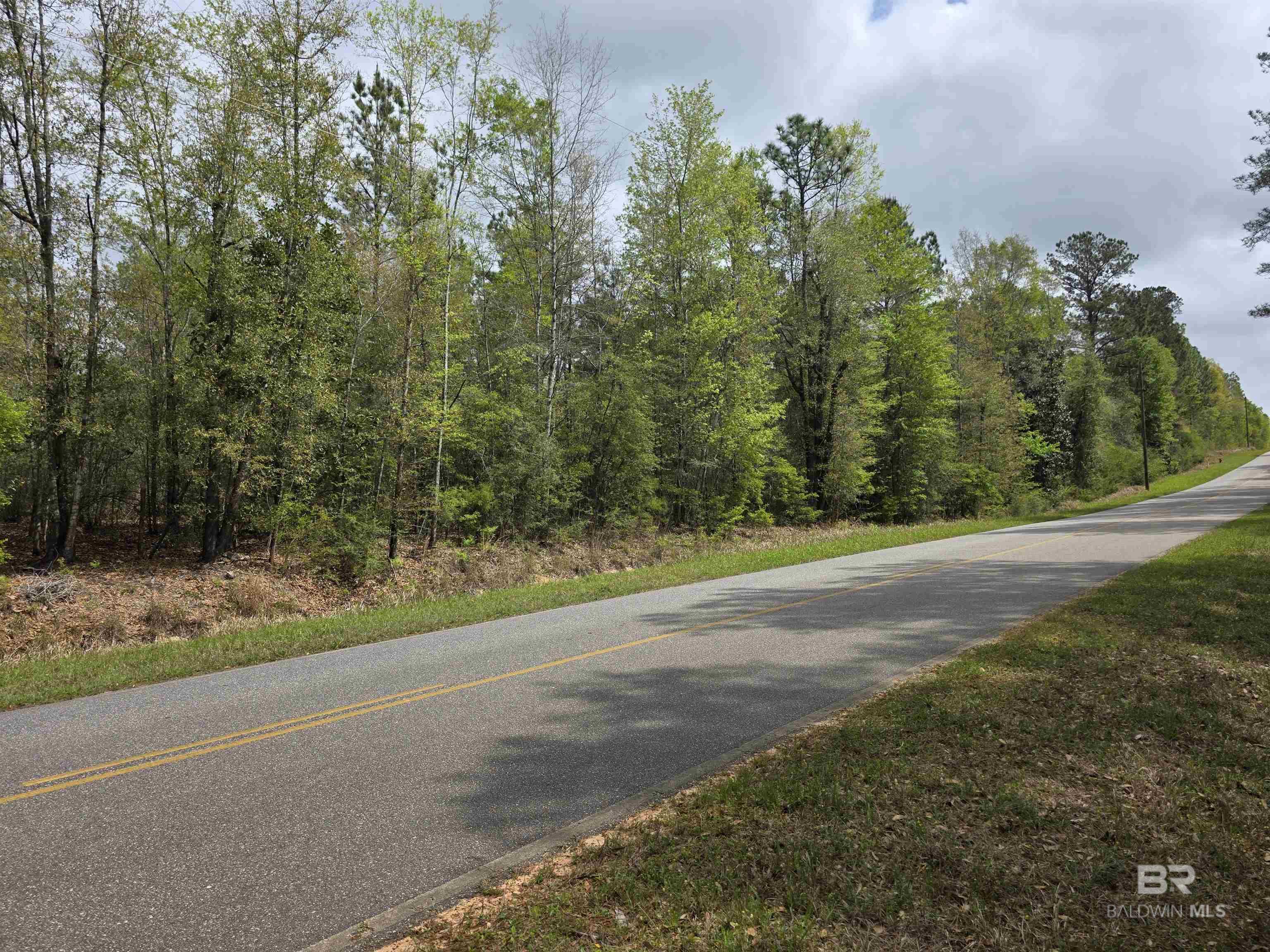 12185 Red Hill Rd Extension, Bay Minette, AL, 36507