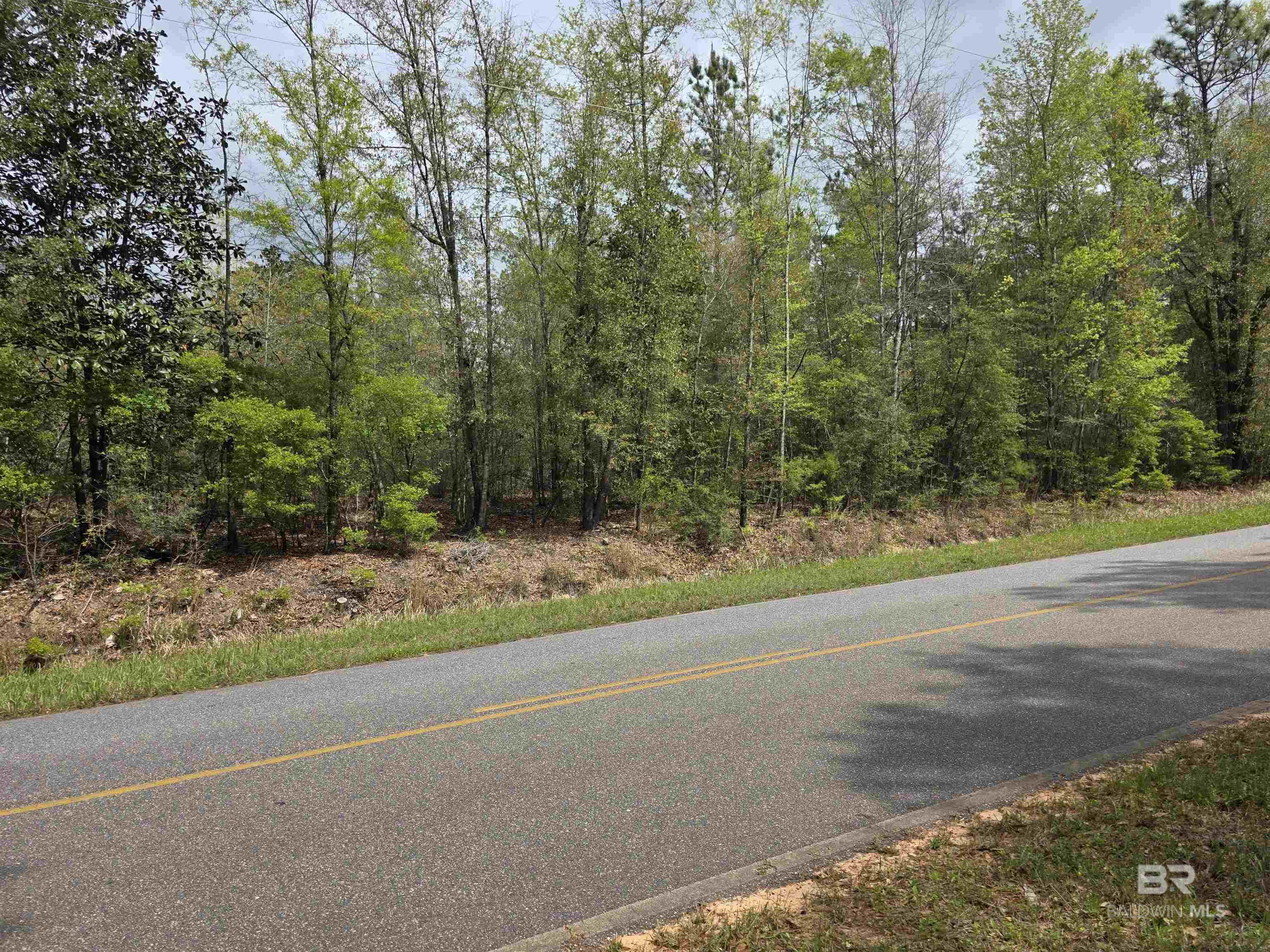 12185 Red Hill Rd Extension, Bay Minette, AL, 36507
