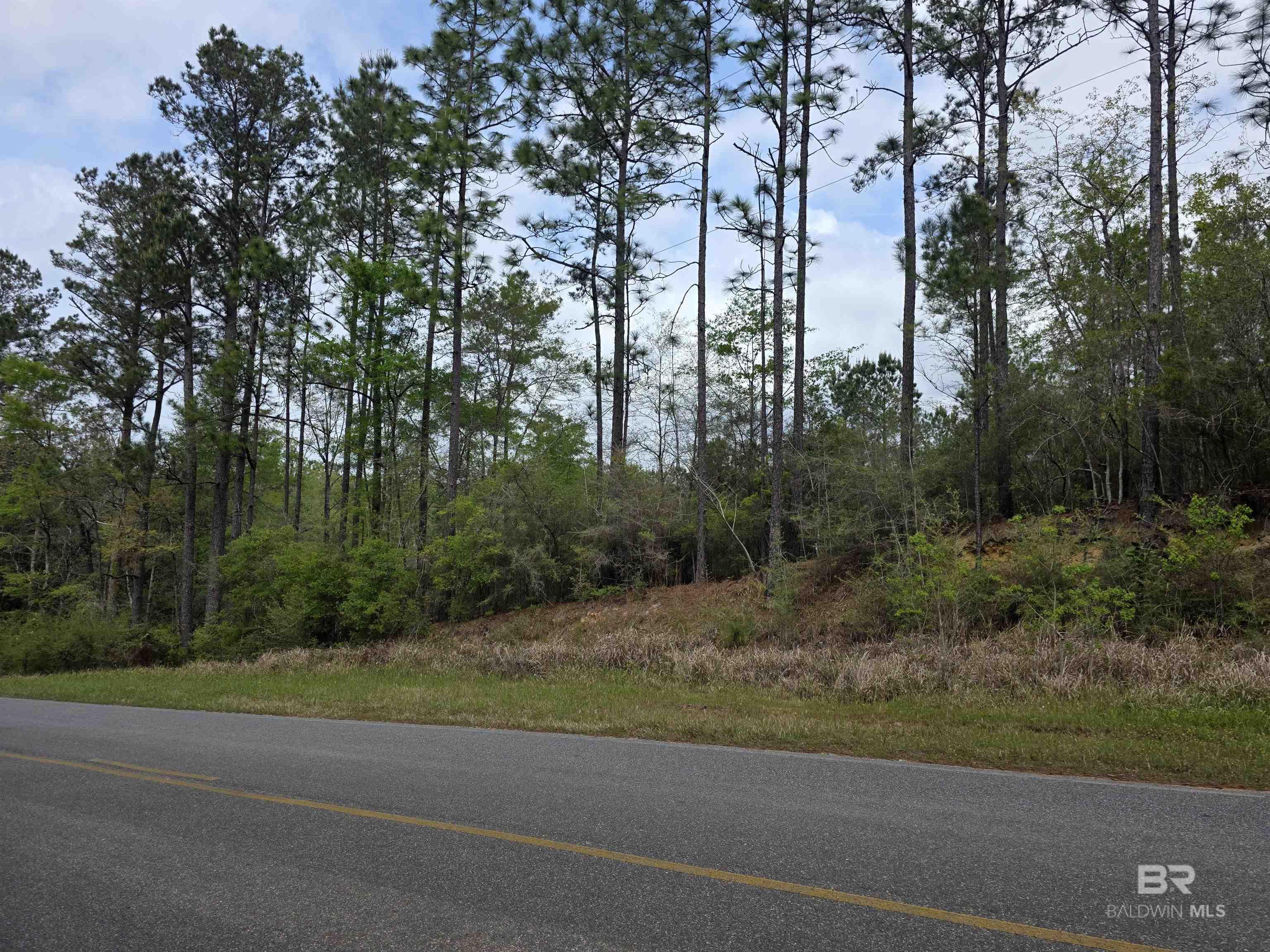 12185 Red Hill Rd Extension, Bay Minette, AL, 36507