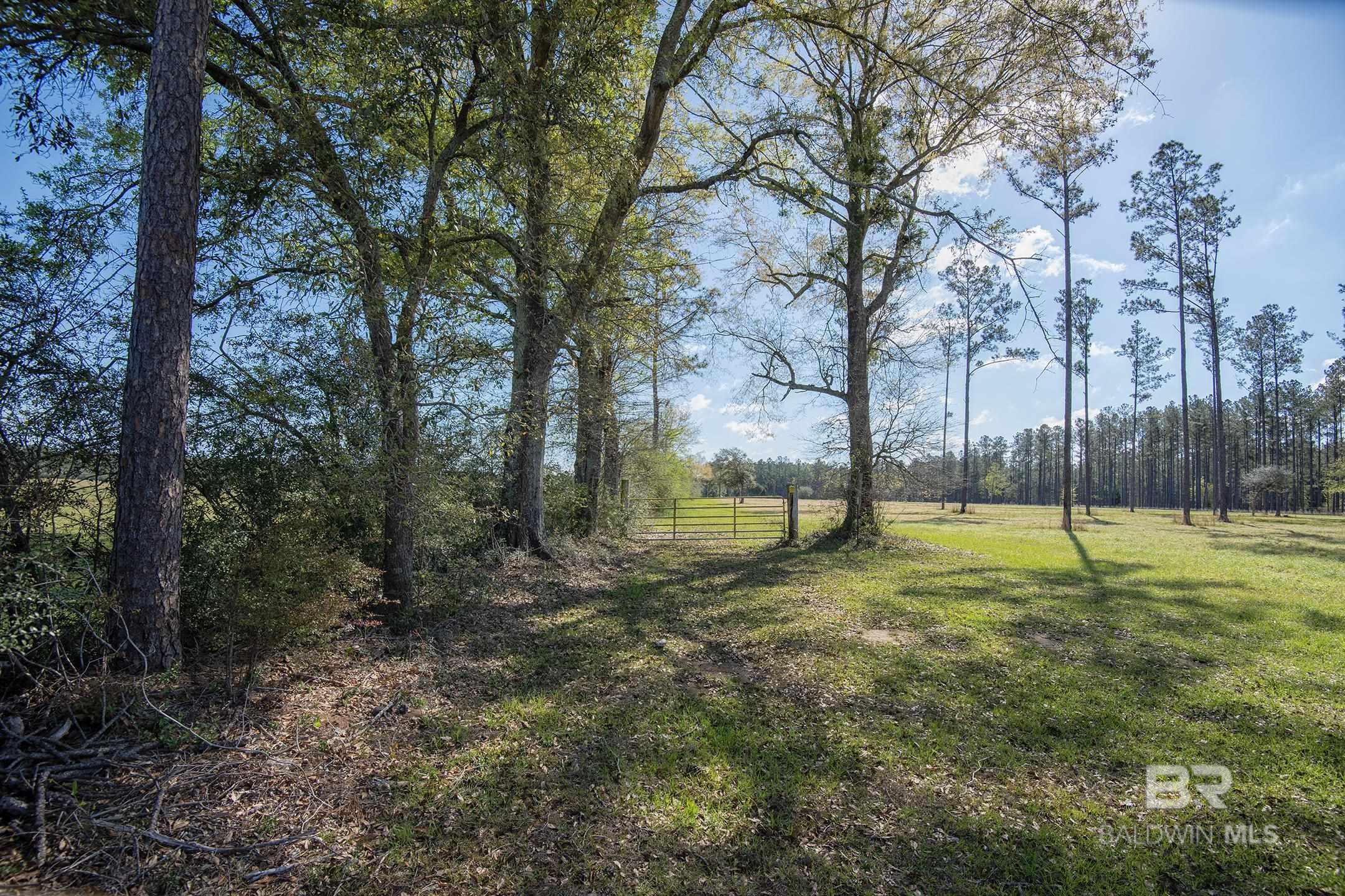 31952 County Road 64 Extension, Robertsdale, AL, 36567