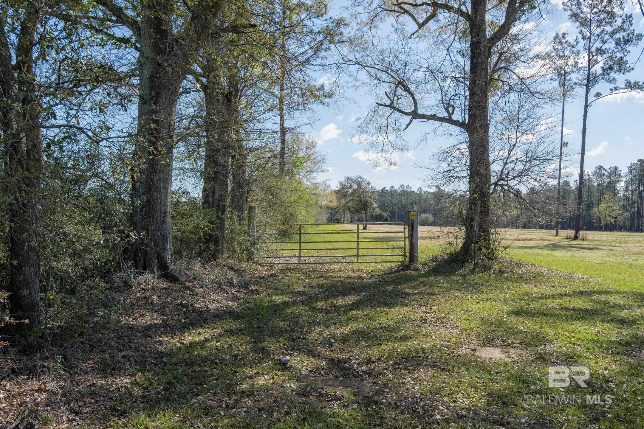 31952 County Road 64 Extension, Robertsdale, AL, 36567