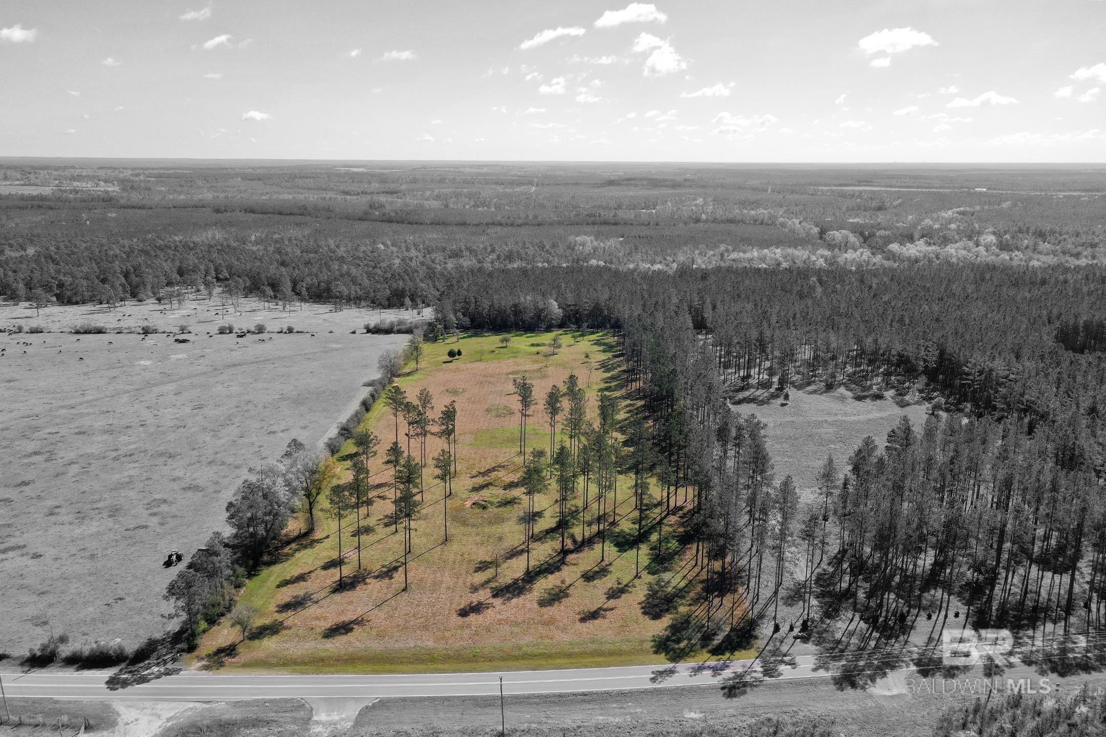 31952 County Road 64 Extension, Robertsdale, AL, 36567