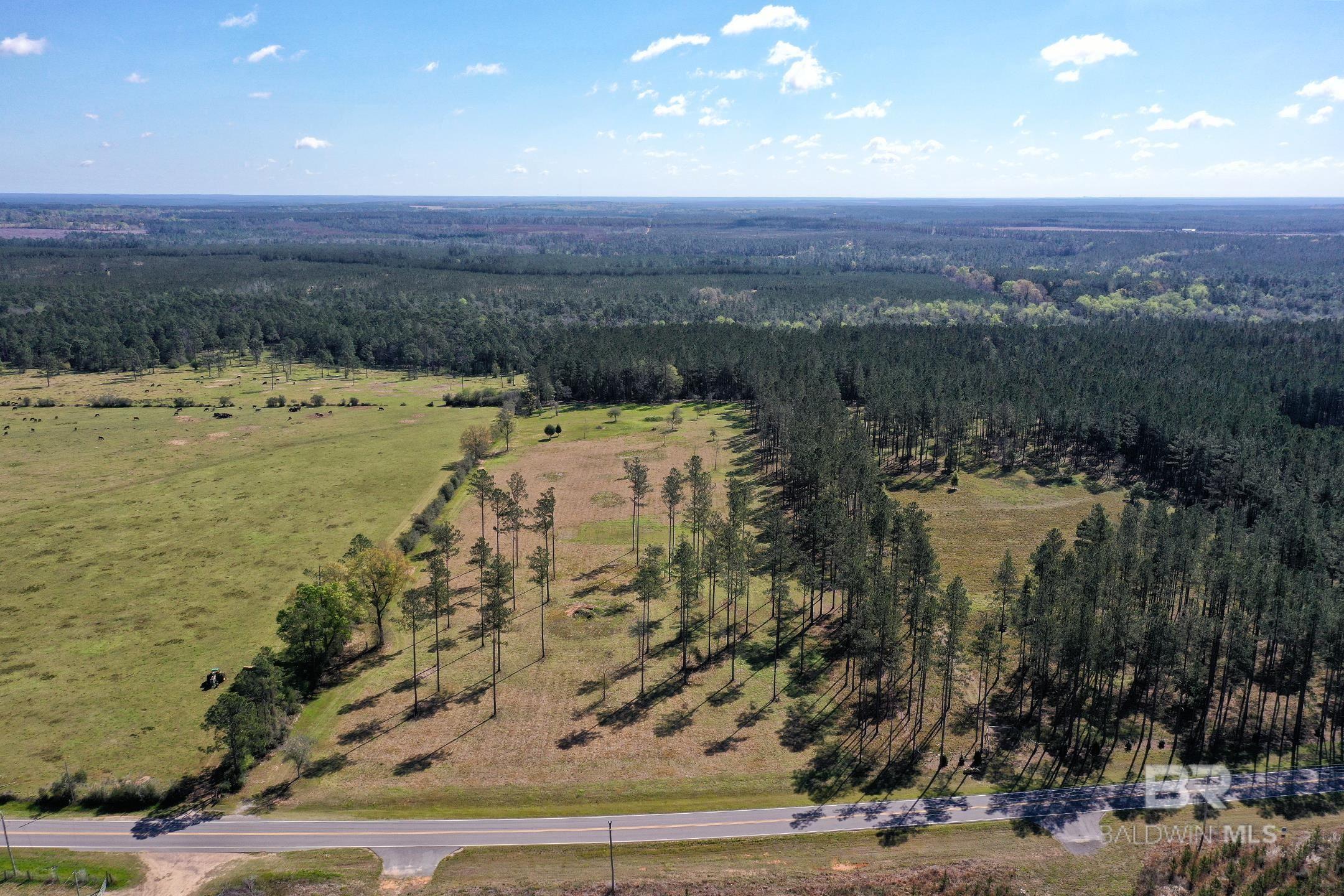 31952 County Road 64 Extension, Robertsdale, AL, 36567