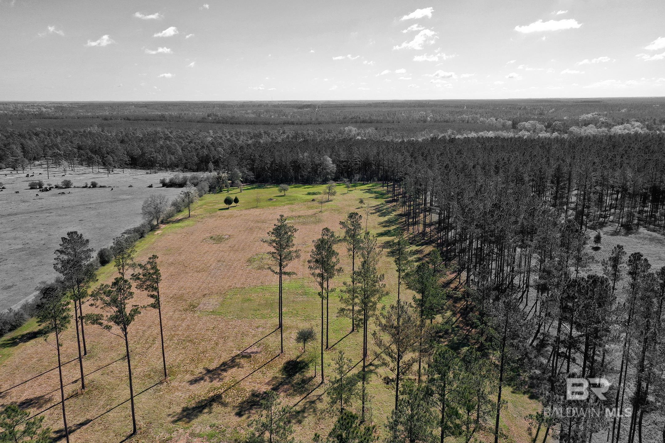 31952 County Road 64 Extension, Robertsdale, AL, 36567