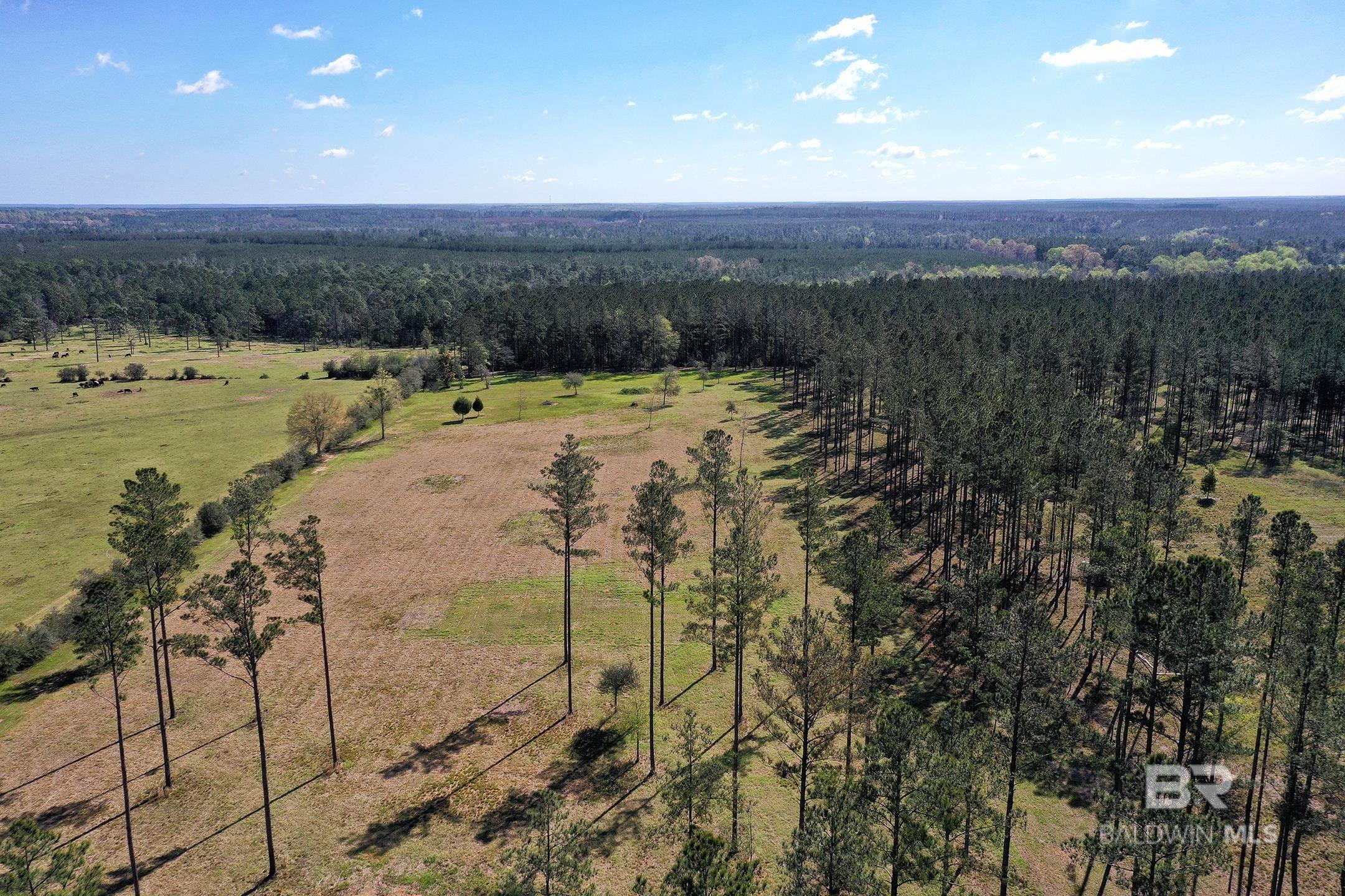 31952 County Road 64 Extension, Robertsdale, AL, 36567